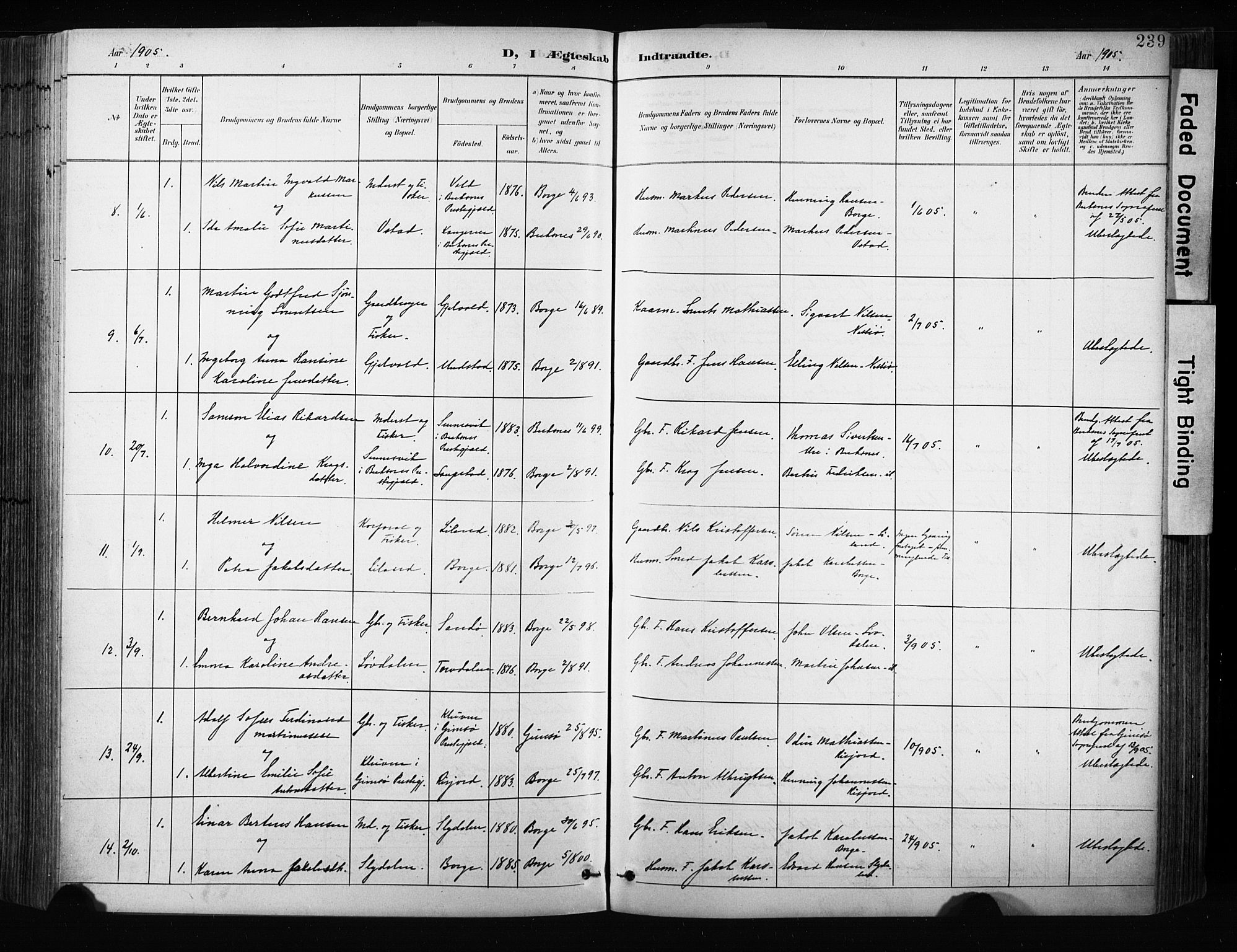 Ministerialprotokoller, klokkerbøker og fødselsregistre - Nordland, AV/SAT-A-1459/880/L1134: Parish register (official) no. 880A08, 1899-1908, p. 239