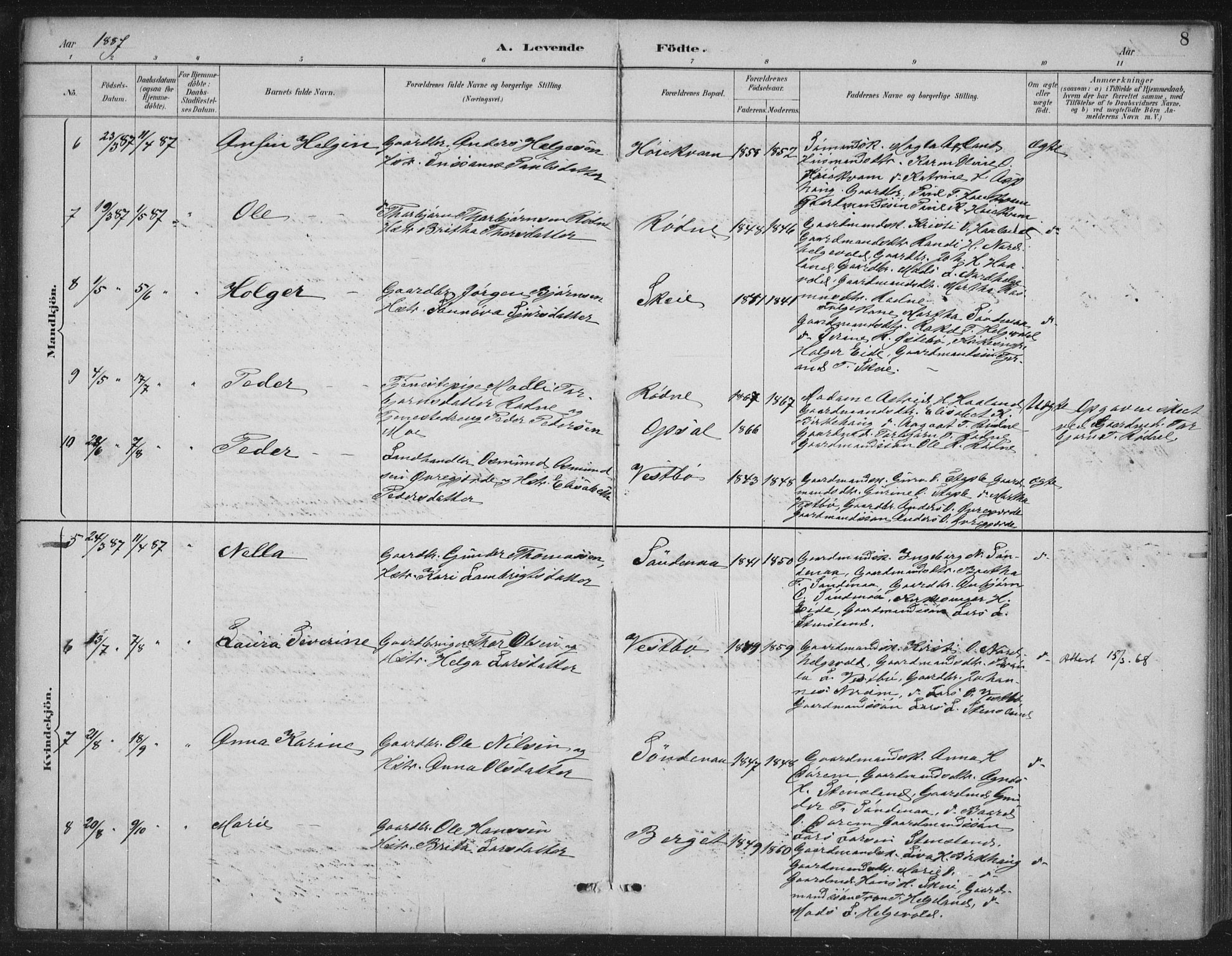 Vikedal sokneprestkontor, AV/SAST-A-101840/01/IV: Parish register (official) no. A 11, 1884-1933, p. 8