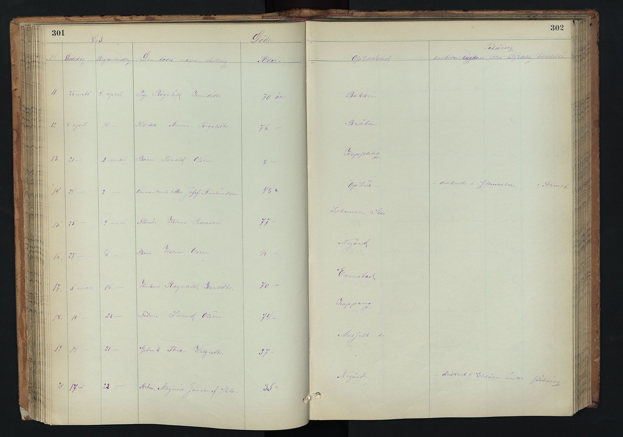 Stor-Elvdal prestekontor, AV/SAH-PREST-052/H/Ha/Hab/L0002: Parish register (copy) no. 2, 1860-1894, p. 301-302