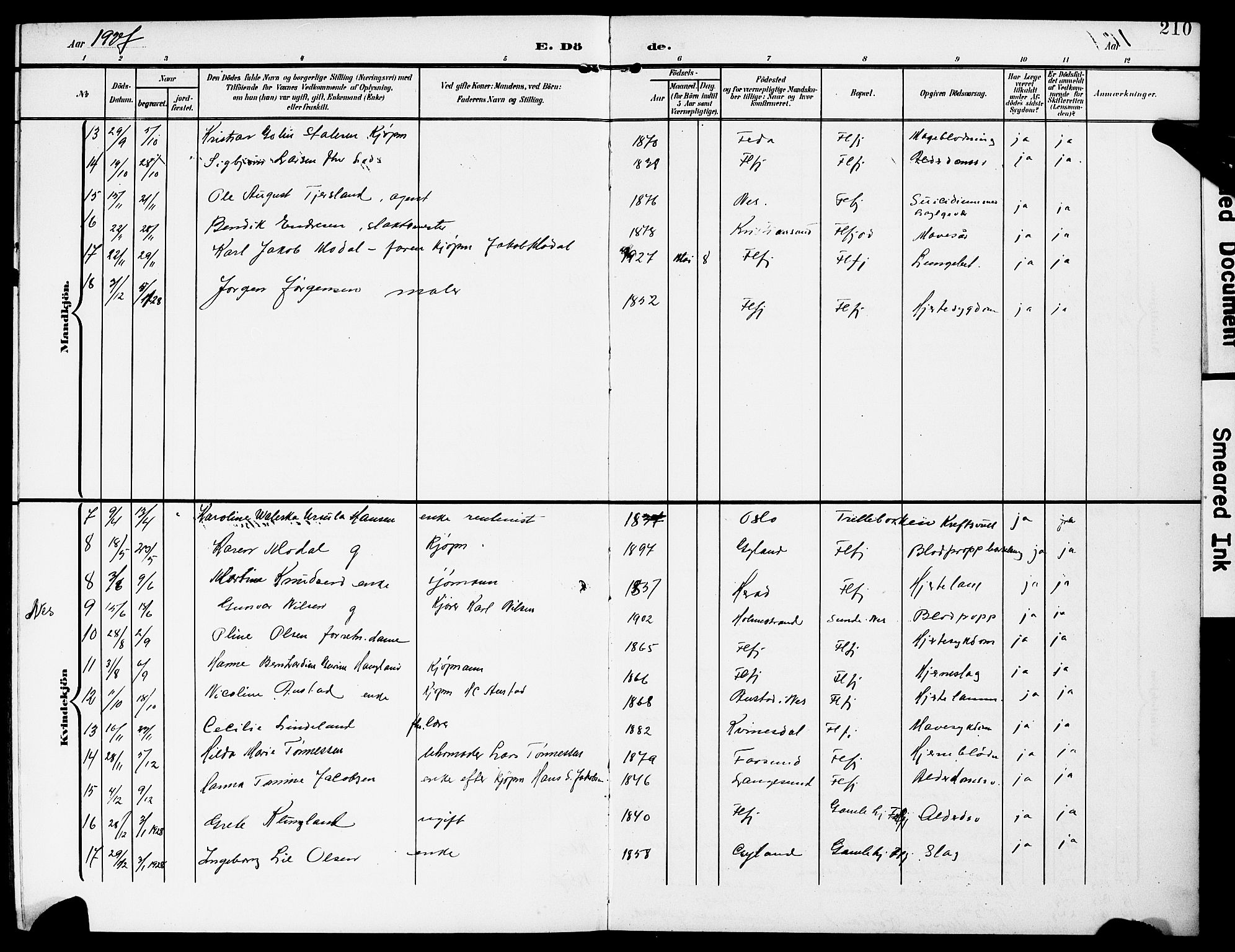 Flekkefjord sokneprestkontor, AV/SAK-1111-0012/F/Fb/Fba/L0001: Parish register (copy) no. B 1, 1903-1931, p. 210