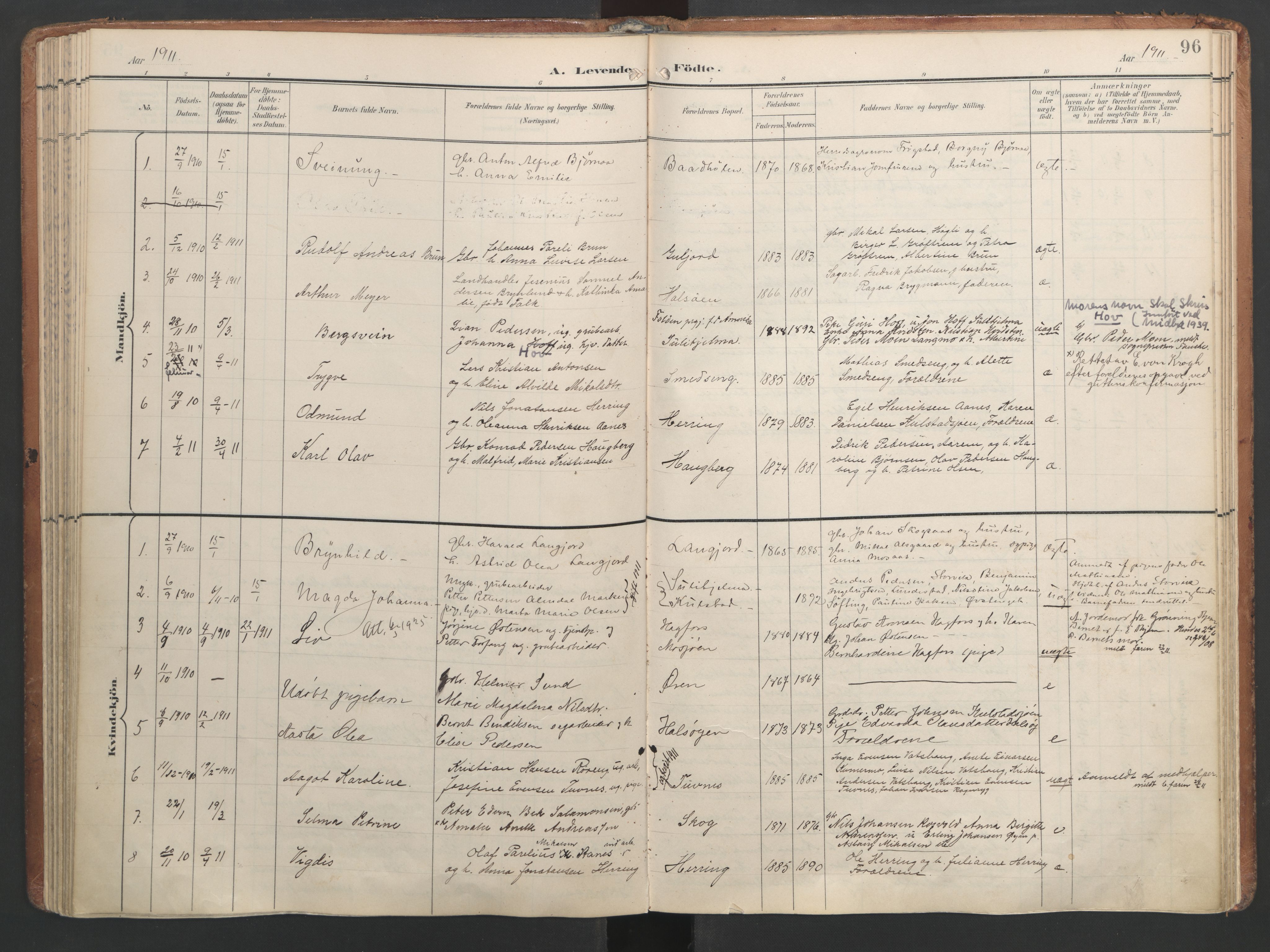 Ministerialprotokoller, klokkerbøker og fødselsregistre - Nordland, SAT/A-1459/820/L0297: Parish register (official) no. 820A18, 1897-1917, p. 96