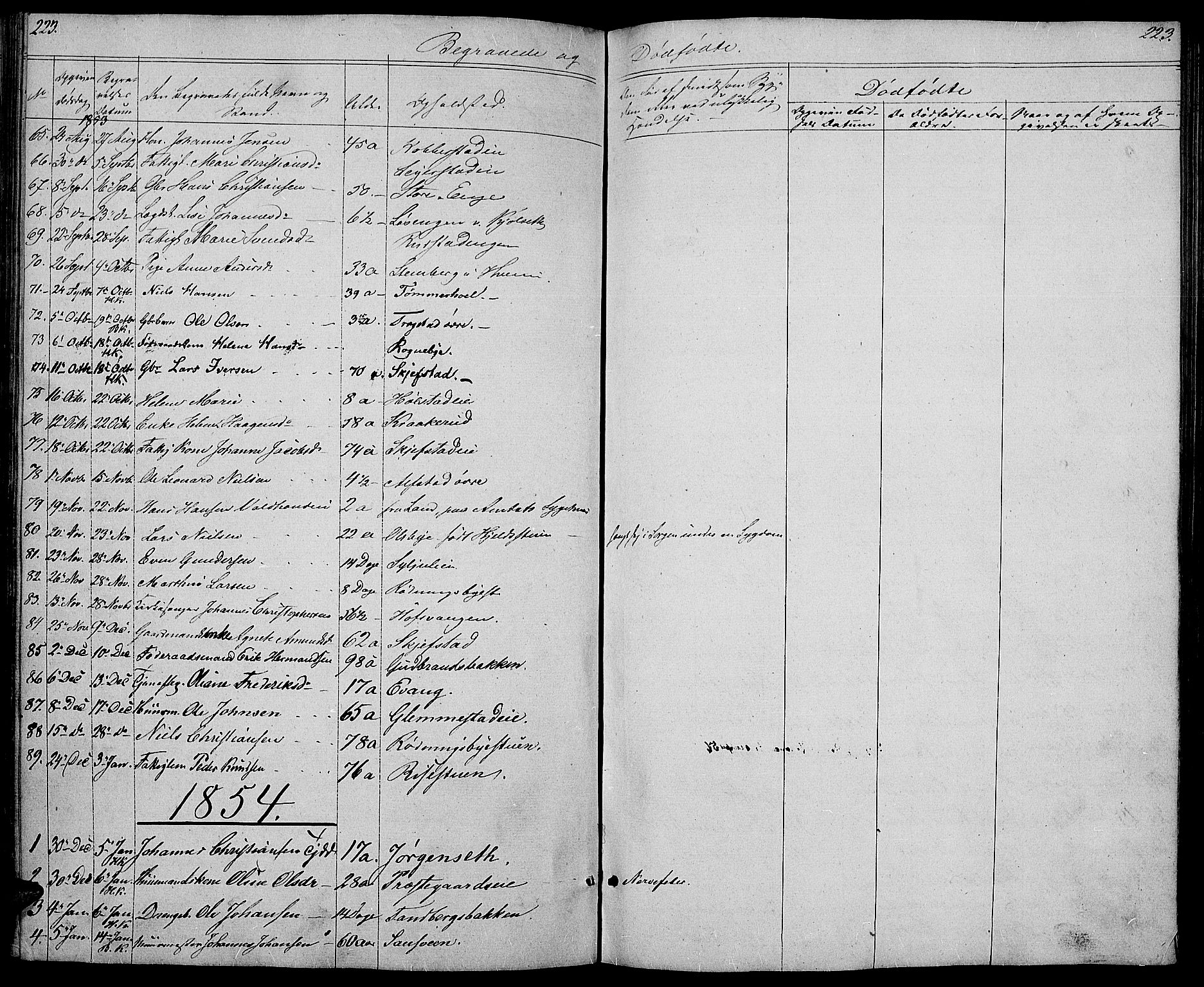 Østre Toten prestekontor, SAH/PREST-104/H/Ha/Hab/L0003: Parish register (copy) no. 3, 1848-1857, p. 223