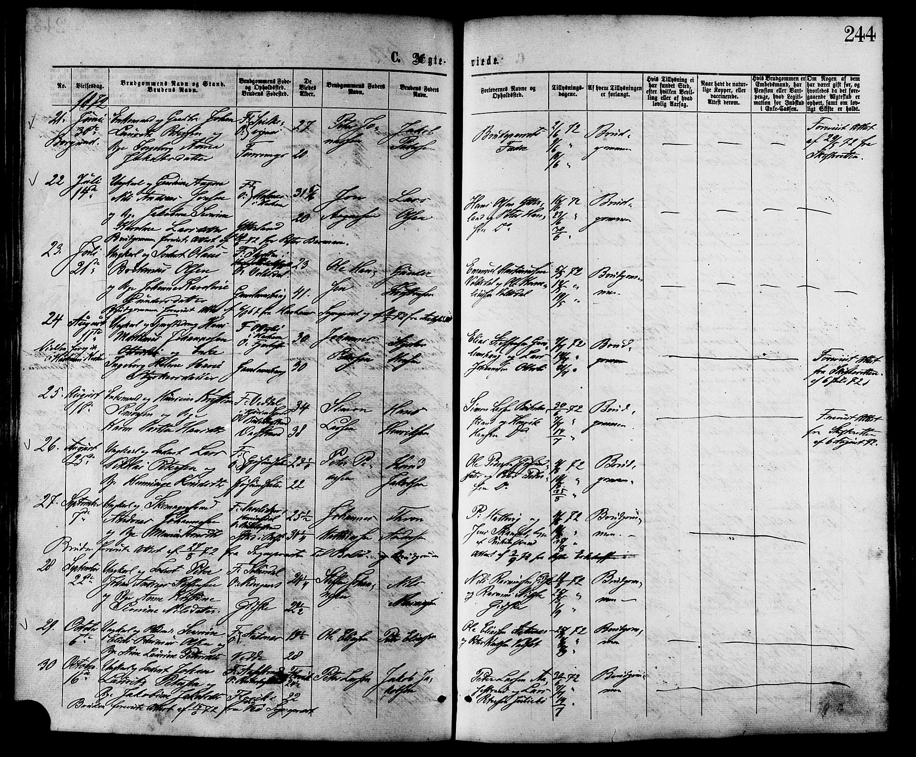 Ministerialprotokoller, klokkerbøker og fødselsregistre - Møre og Romsdal, AV/SAT-A-1454/528/L0399: Parish register (official) no. 528A10, 1864-1879, p. 244