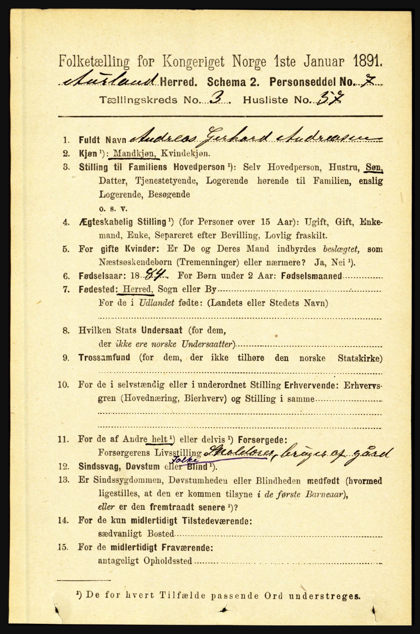 RA, 1891 census for 1421 Aurland, 1891, p. 1245