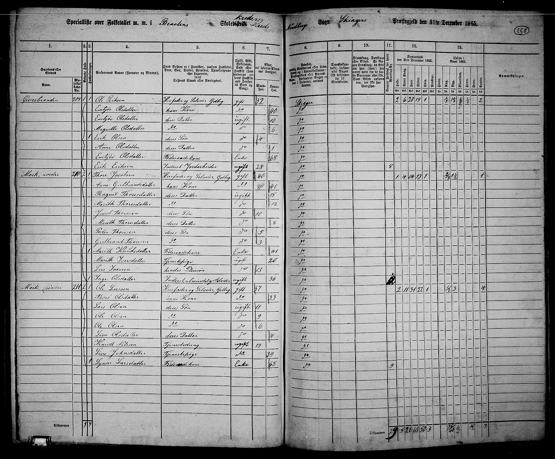 RA, 1865 census for Skjåk, 1865, p. 99