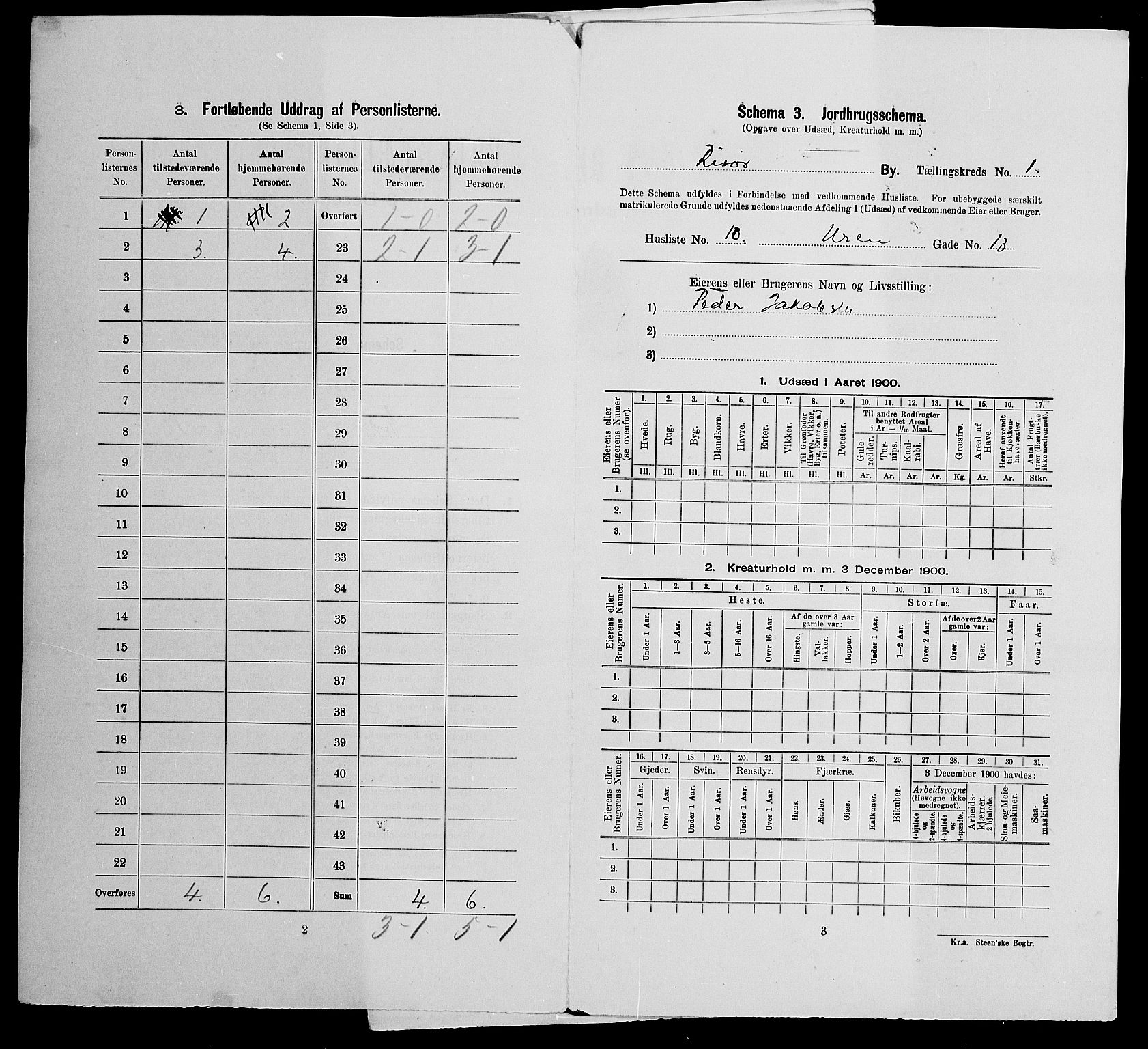 SAK, 1900 census for Risør, 1900, p. 30