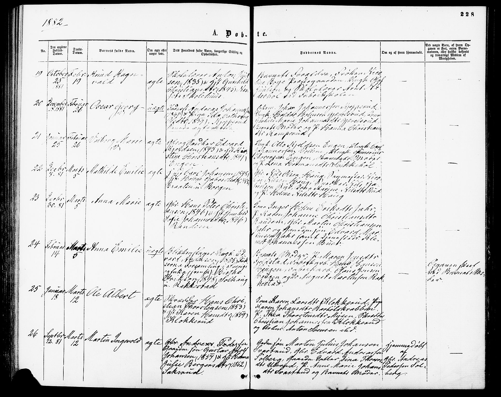 Enebakk prestekontor Kirkebøker, SAO/A-10171c/F/Fa/L0011: Parish register (official) no. I 11, 1862-1882, p. 228
