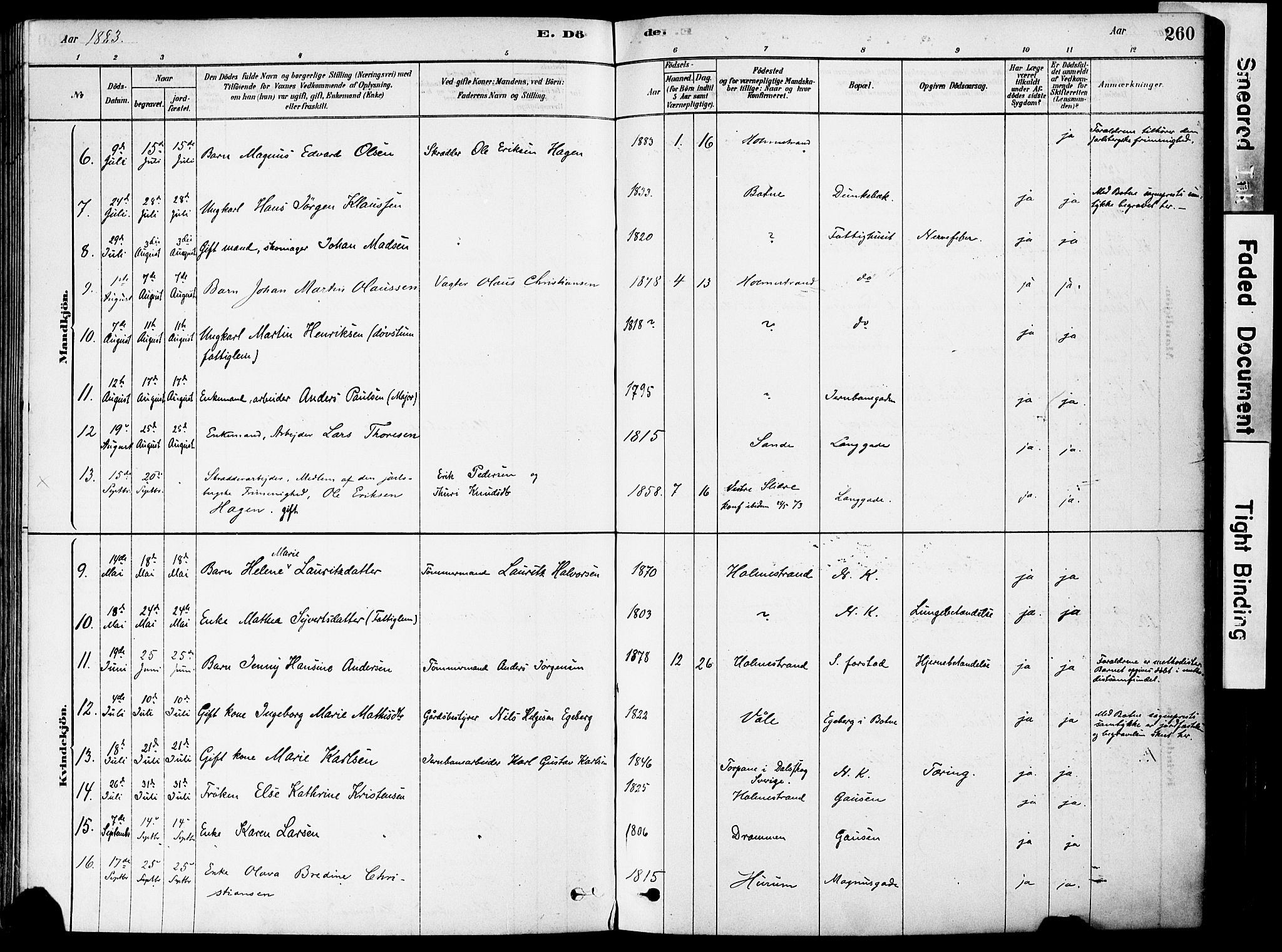 Holmestrand kirkebøker, AV/SAKO-A-346/F/Fa/L0004: Parish register (official) no. 4, 1880-1901, p. 260