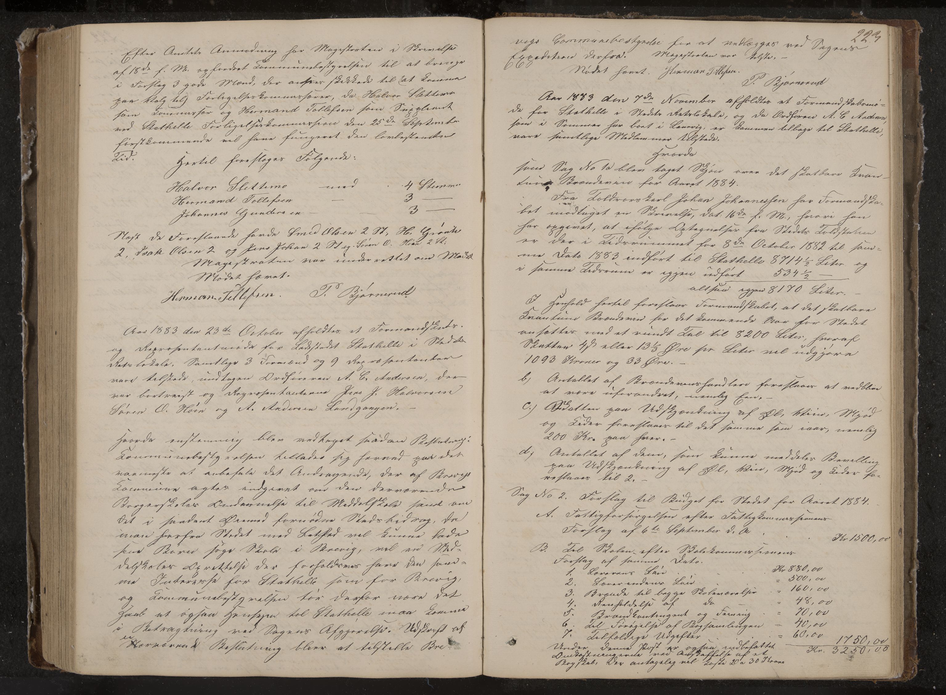 Stathelle formannskap og sentraladministrasjon, IKAK/0803021/A/L0001: Møtebok, 1852-1891, p. 223