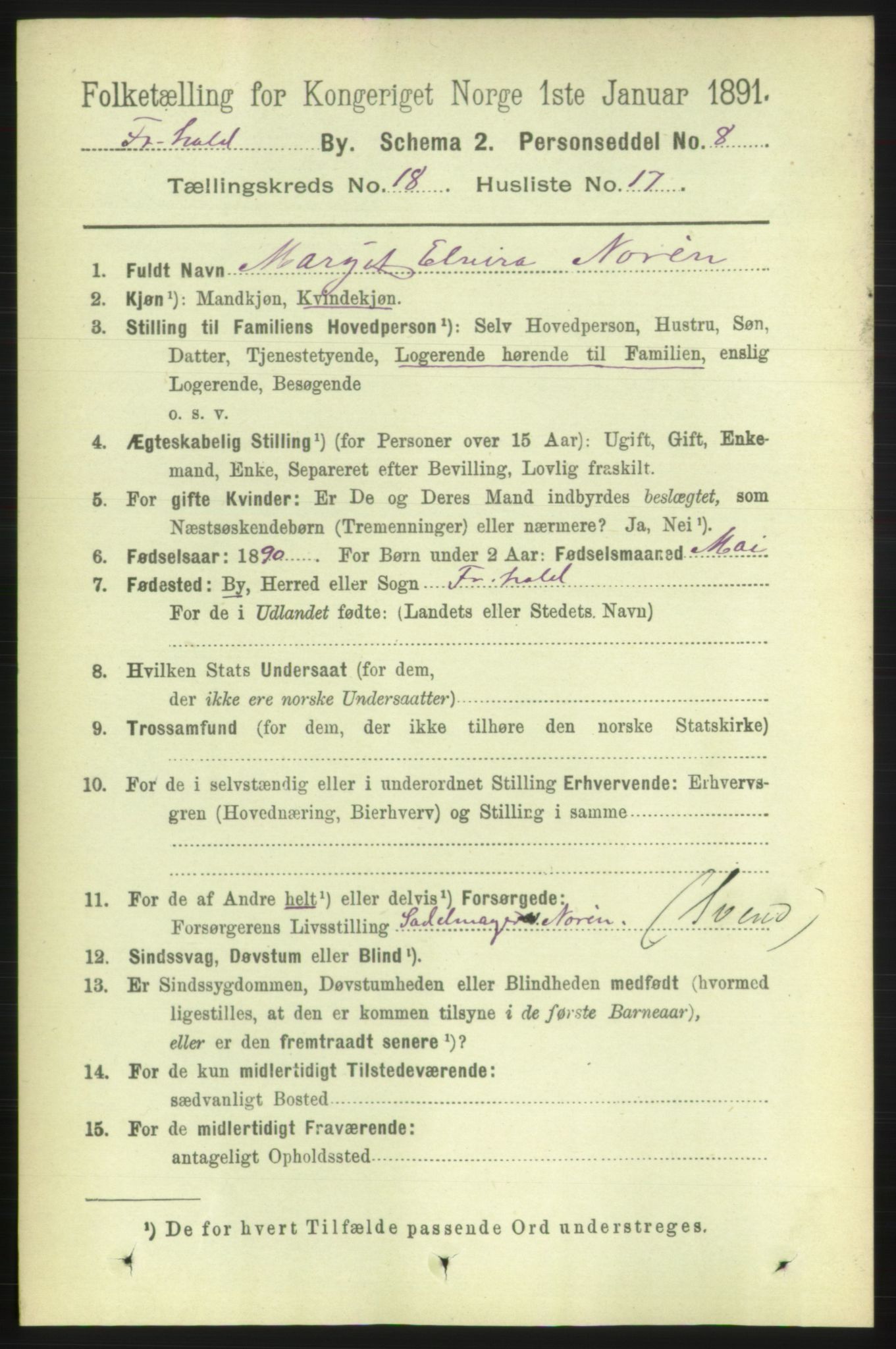 RA, 1891 census for 0101 Fredrikshald, 1891, p. 11571