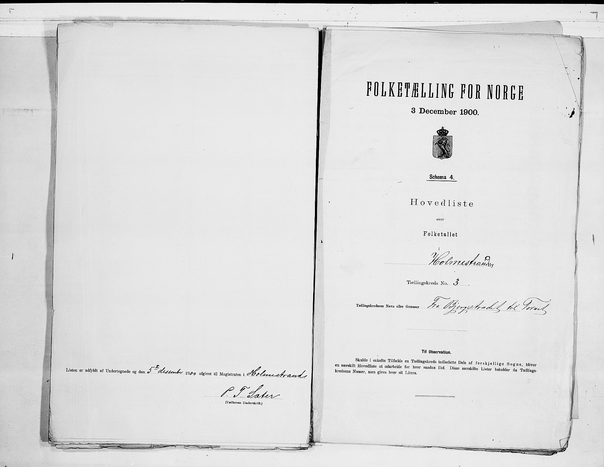 RA, 1900 census for Holmestrand, 1900, p. 8