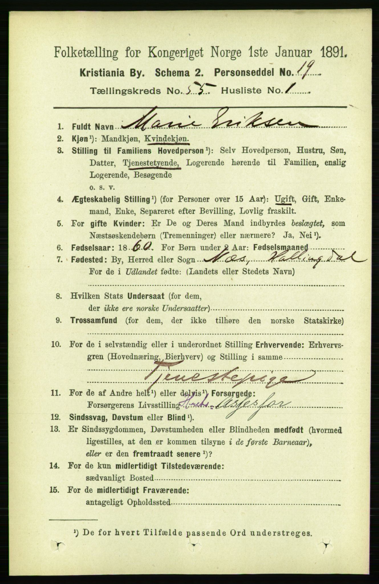 RA, 1891 census for 0301 Kristiania, 1891, p. 30095