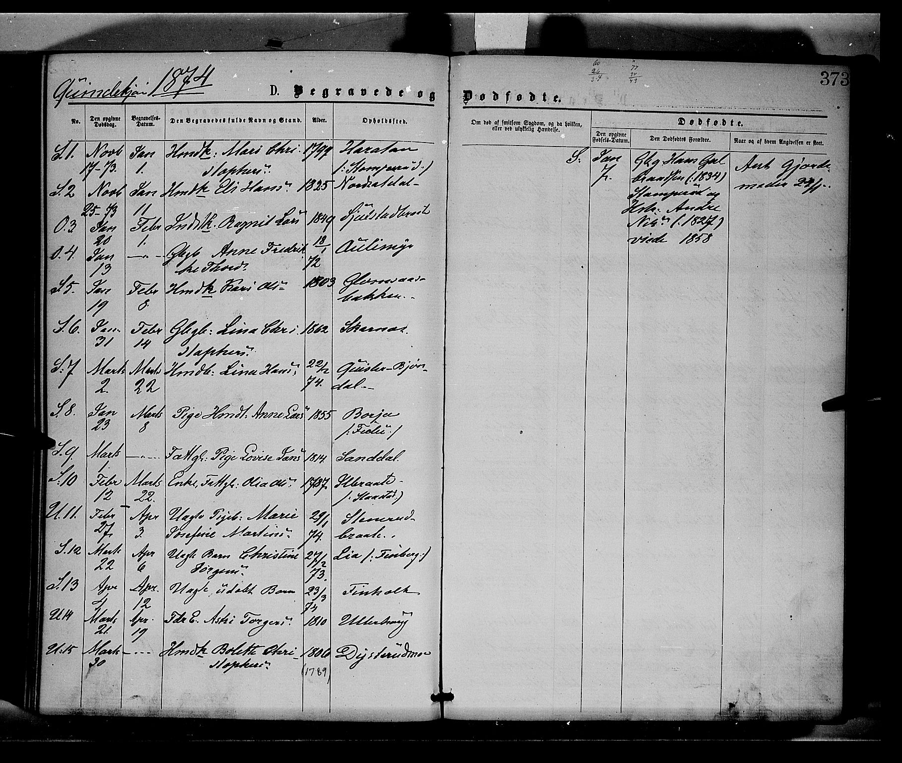 Sør-Odal prestekontor, AV/SAH-PREST-030/H/Ha/Haa/L0004: Parish register (official) no. 4, 1870-1875, p. 373