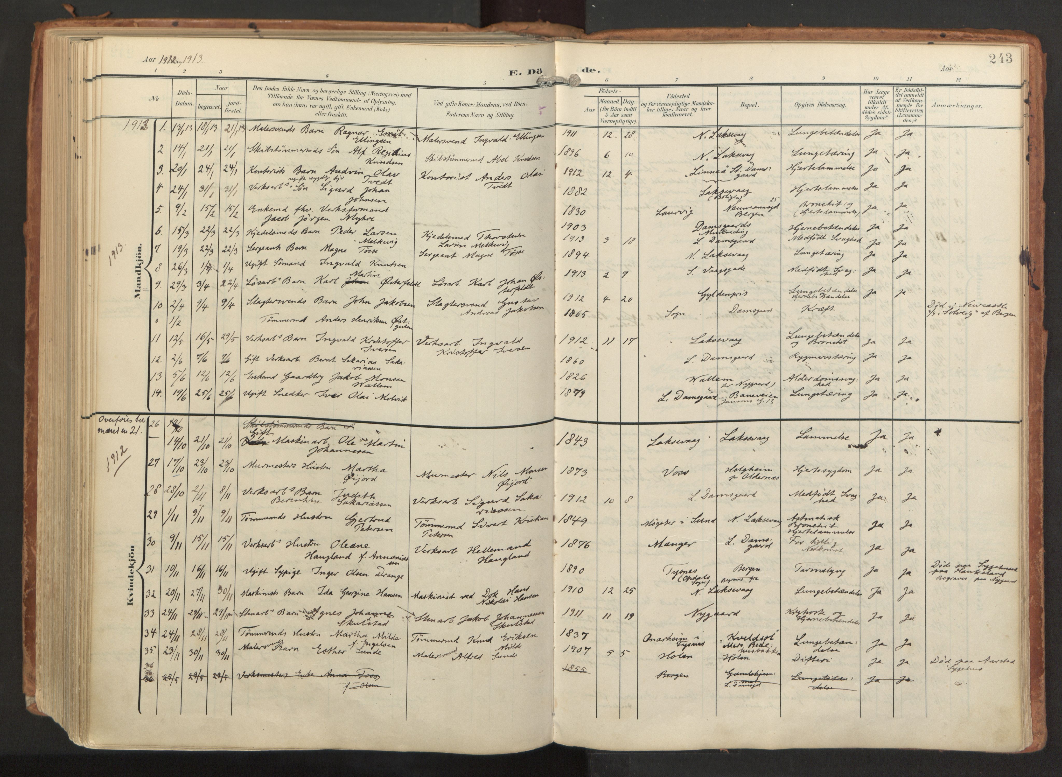 Laksevåg Sokneprestembete, AV/SAB-A-76501/H/Ha/Haa/Haaa/L0001: Parish register (official) no. A 1, 1903-1917, p. 243