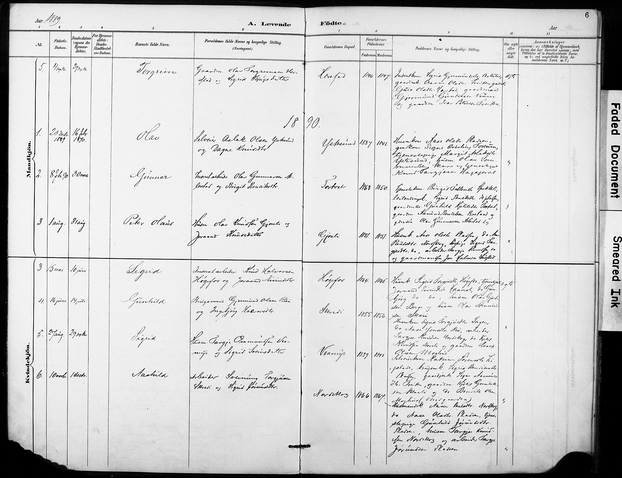 Fyresdal kirkebøker, AV/SAKO-A-263/F/Fb/L0003: Parish register (official) no. II 3, 1887-1903, p. 6