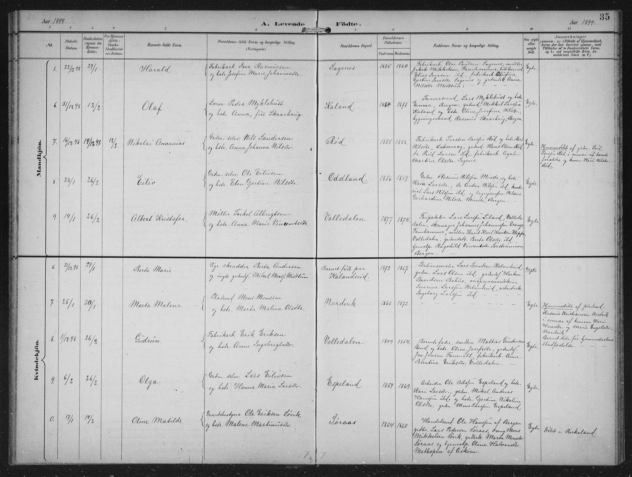 Fana Sokneprestembete, AV/SAB-A-75101/H/Hab/Haba/L0003: Parish register (copy) no. A 3, 1895-1902, p. 35