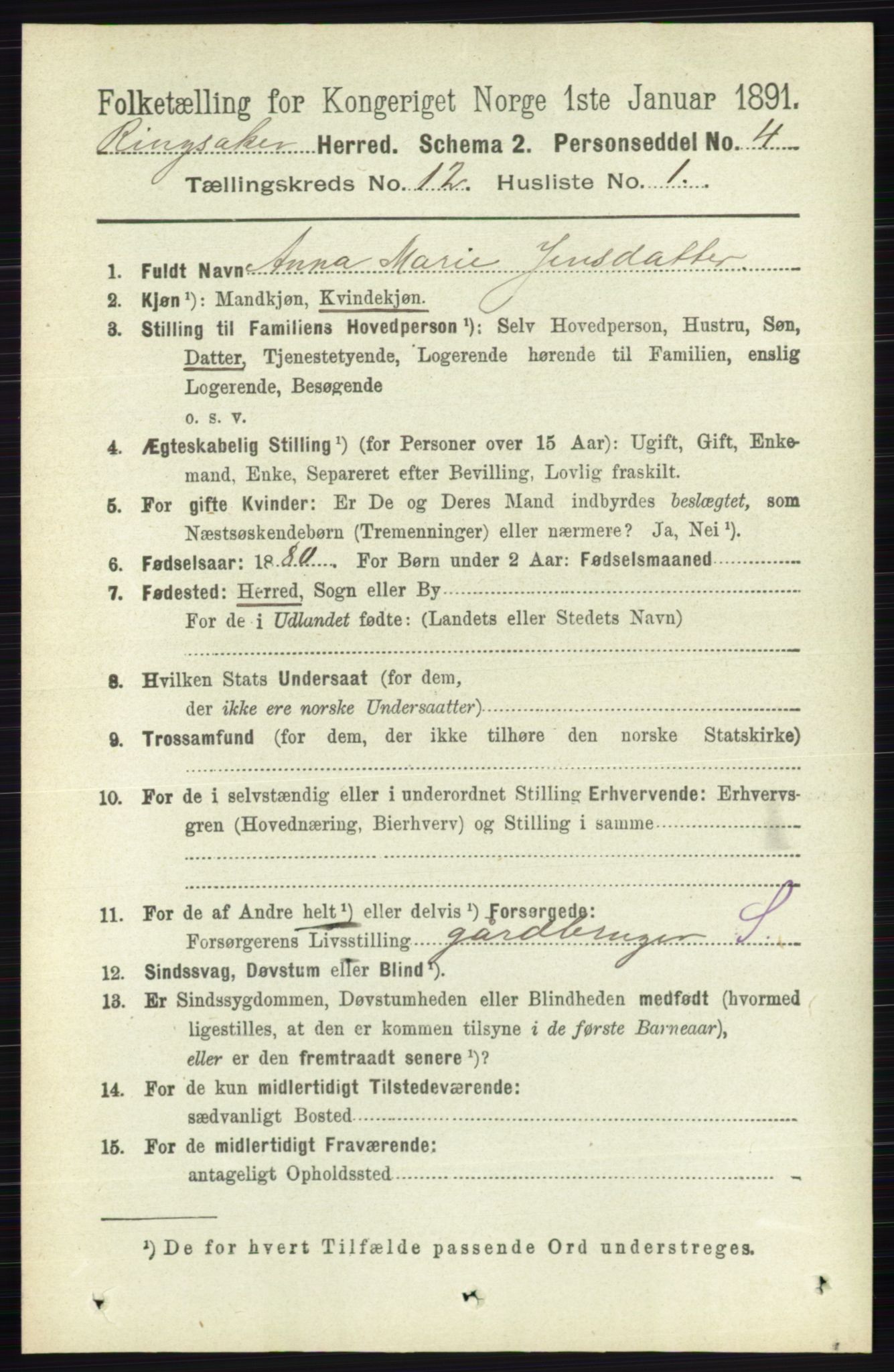 RA, 1891 census for 0412 Ringsaker, 1891, p. 6765