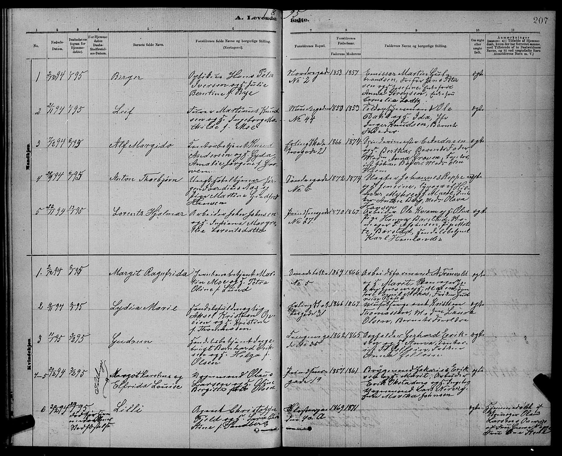 Ministerialprotokoller, klokkerbøker og fødselsregistre - Sør-Trøndelag, SAT/A-1456/601/L0092: Parish register (copy) no. 601C10, 1884-1897, p. 207