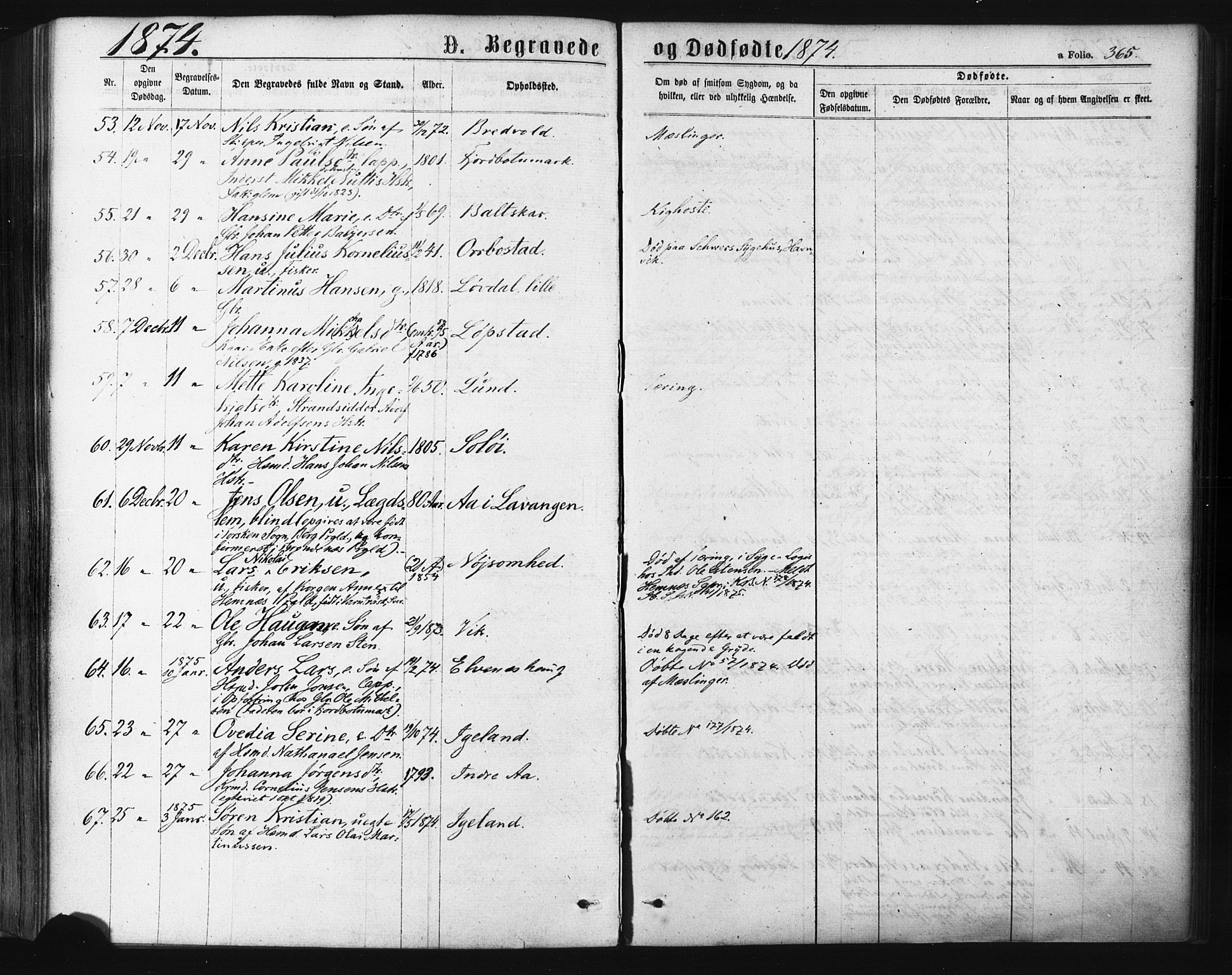 Ibestad sokneprestembete, SATØ/S-0077/H/Ha/Haa/L0010kirke: Parish register (official) no. 10, 1869-1879, p. 365