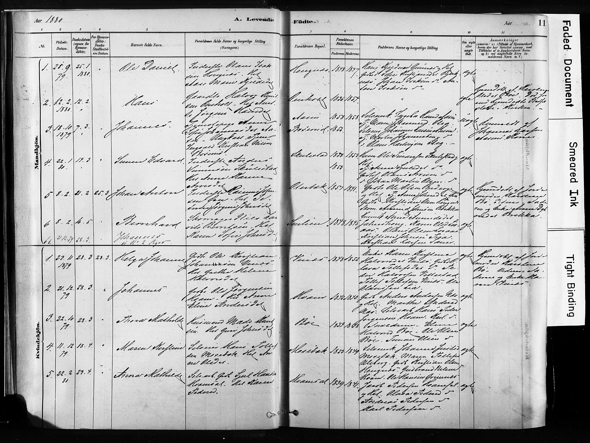 Sandsvær kirkebøker, SAKO/A-244/F/Fb/L0001: Parish register (official) no. II 1, 1878-1906, p. 11