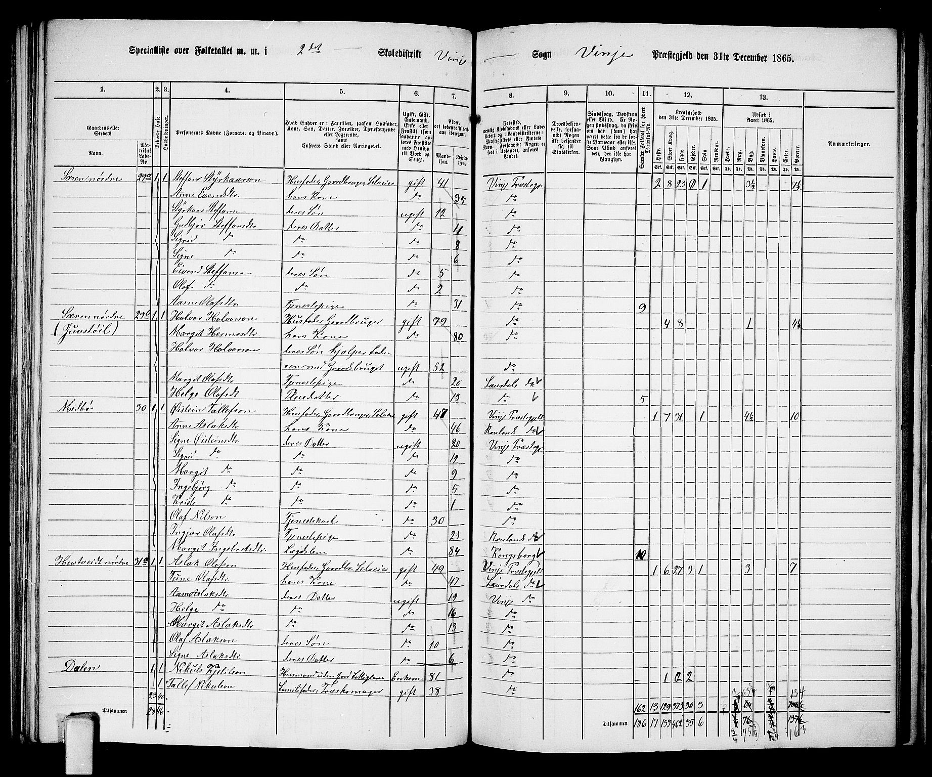 RA, 1865 census for Vinje, 1865, p. 22