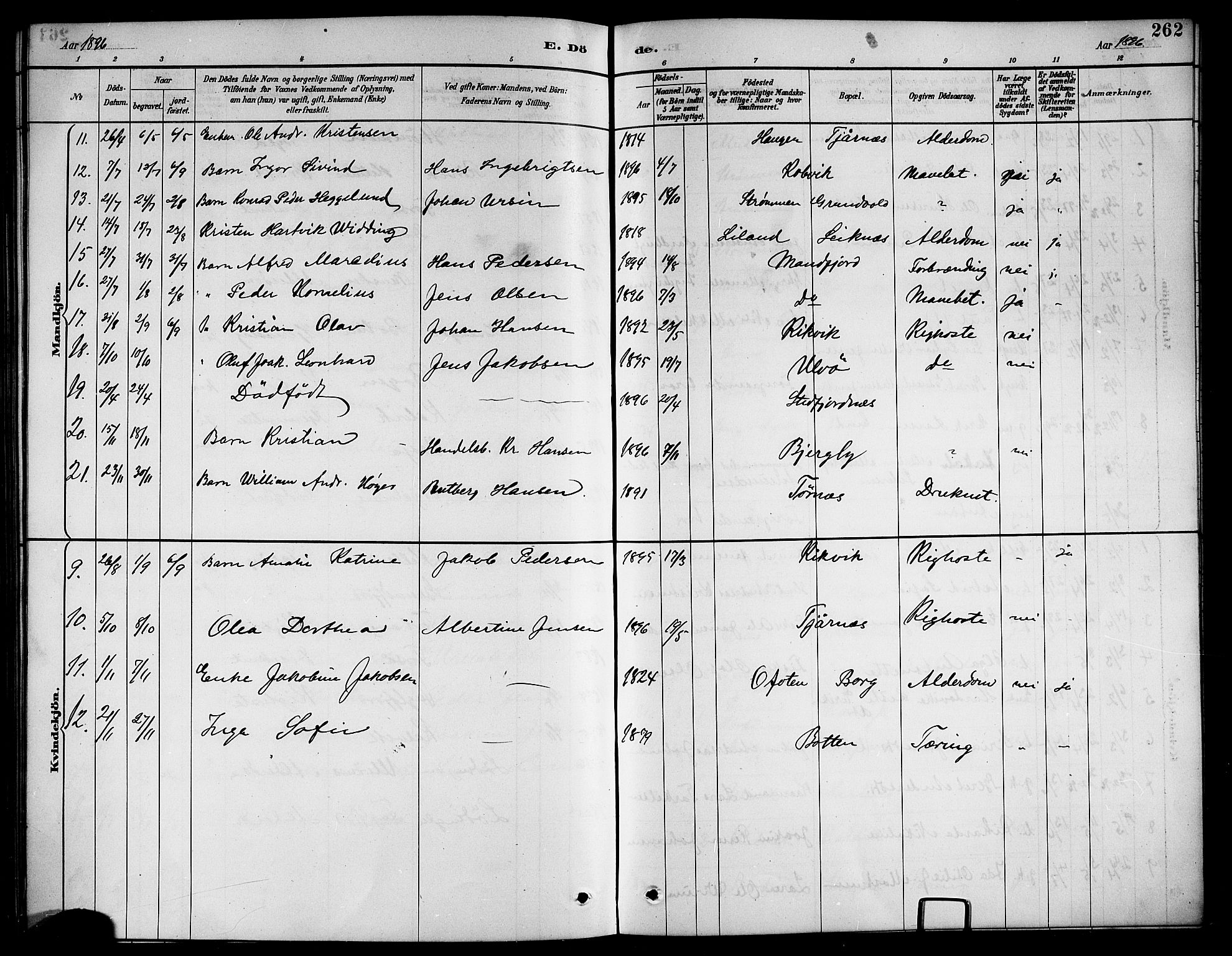 Ministerialprotokoller, klokkerbøker og fødselsregistre - Nordland, AV/SAT-A-1459/861/L0876: Parish register (copy) no. 861C02, 1887-1903, p. 262