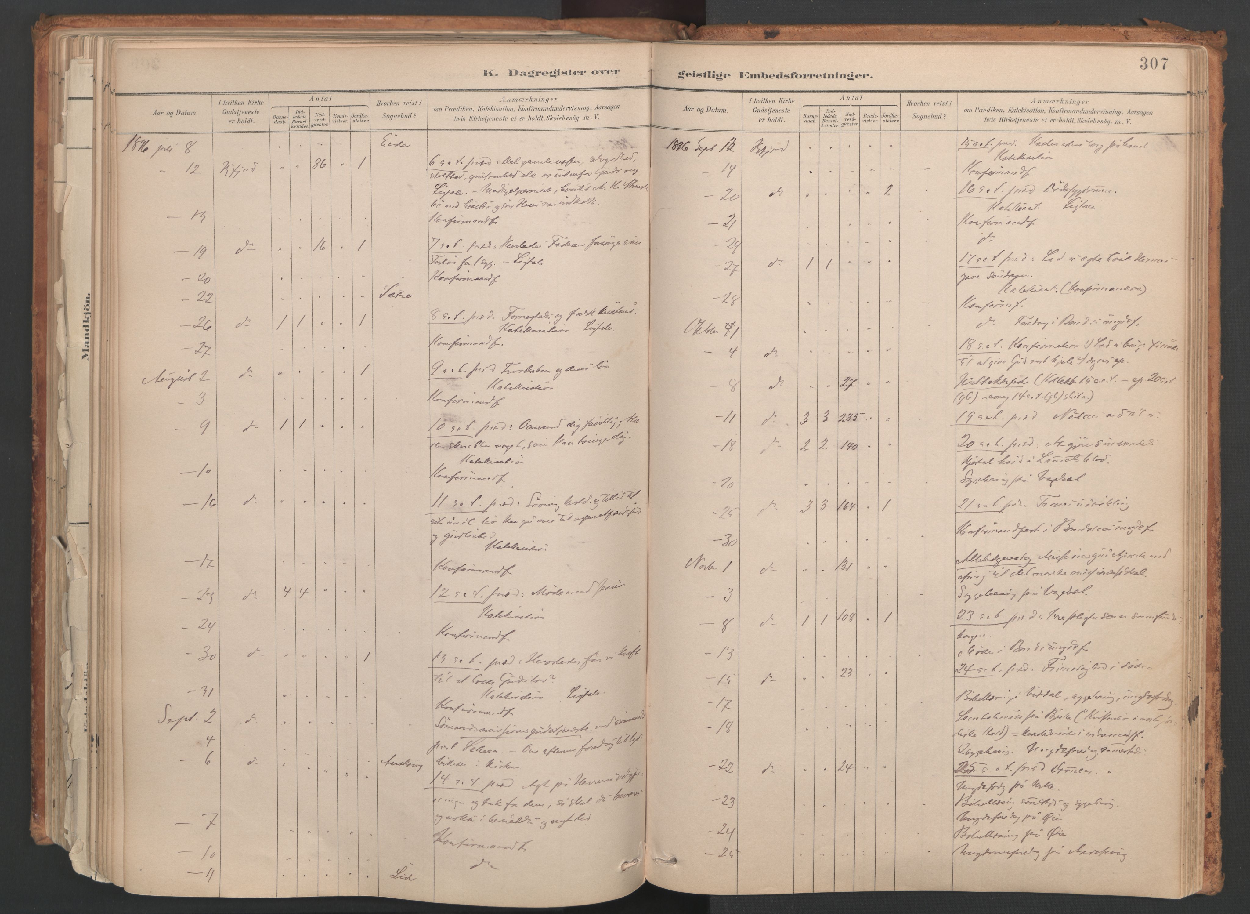 Ministerialprotokoller, klokkerbøker og fødselsregistre - Møre og Romsdal, SAT/A-1454/515/L0211: Parish register (official) no. 515A07, 1886-1910, p. 307