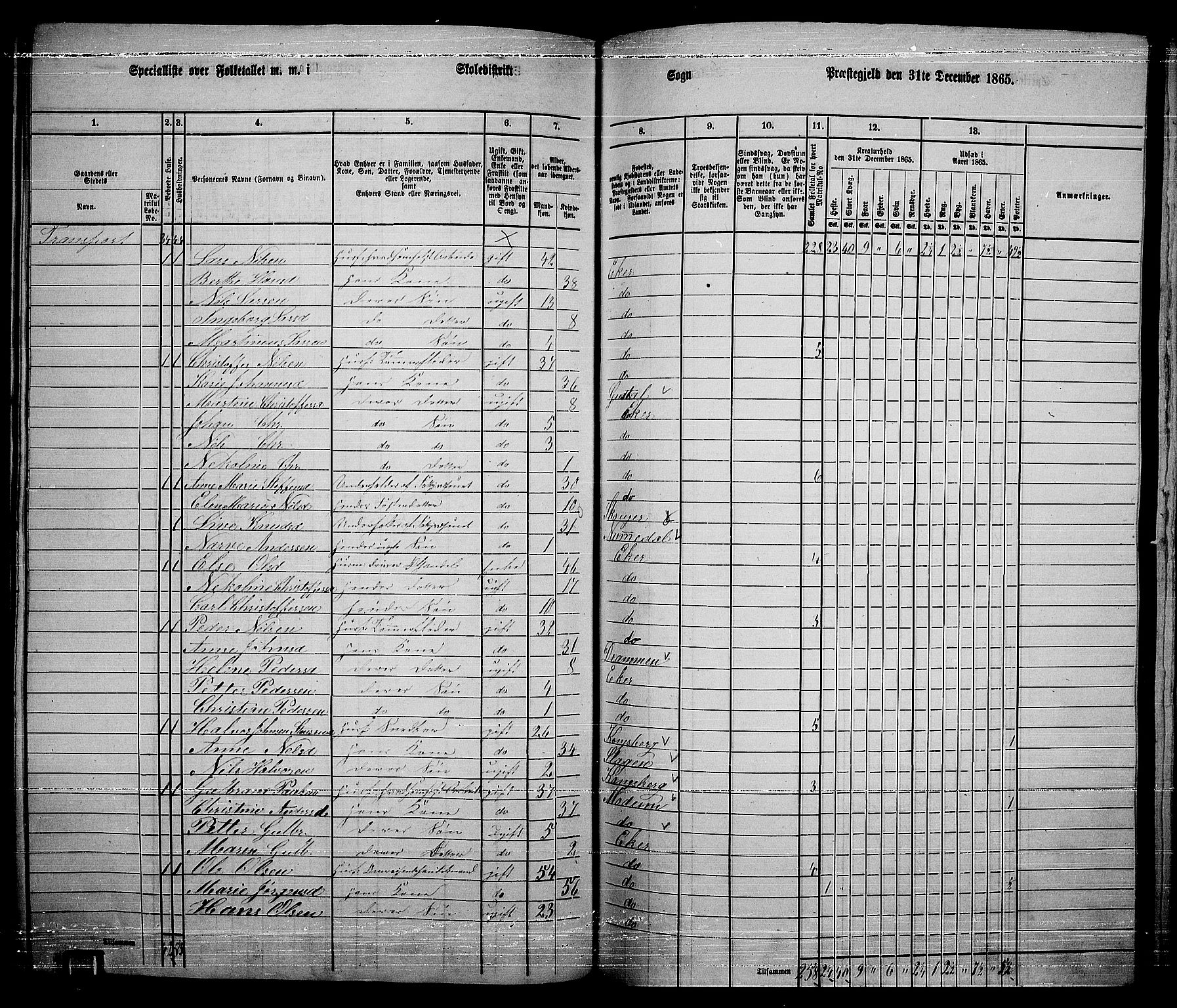 RA, 1865 census for Eiker, 1865, p. 219