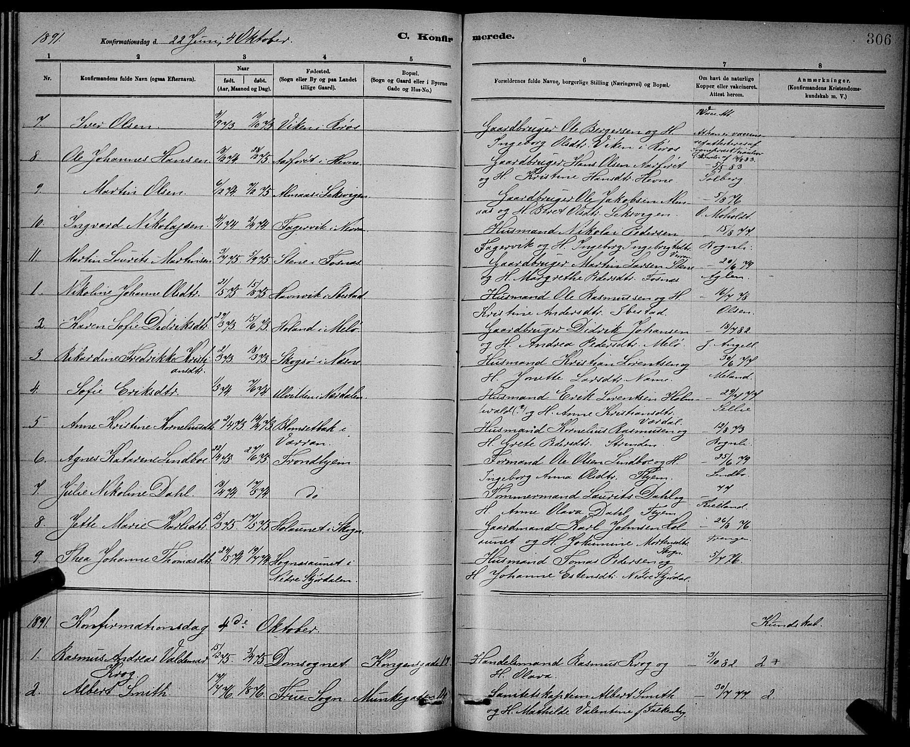 Ministerialprotokoller, klokkerbøker og fødselsregistre - Sør-Trøndelag, AV/SAT-A-1456/601/L0092: Parish register (copy) no. 601C10, 1884-1897, p. 306