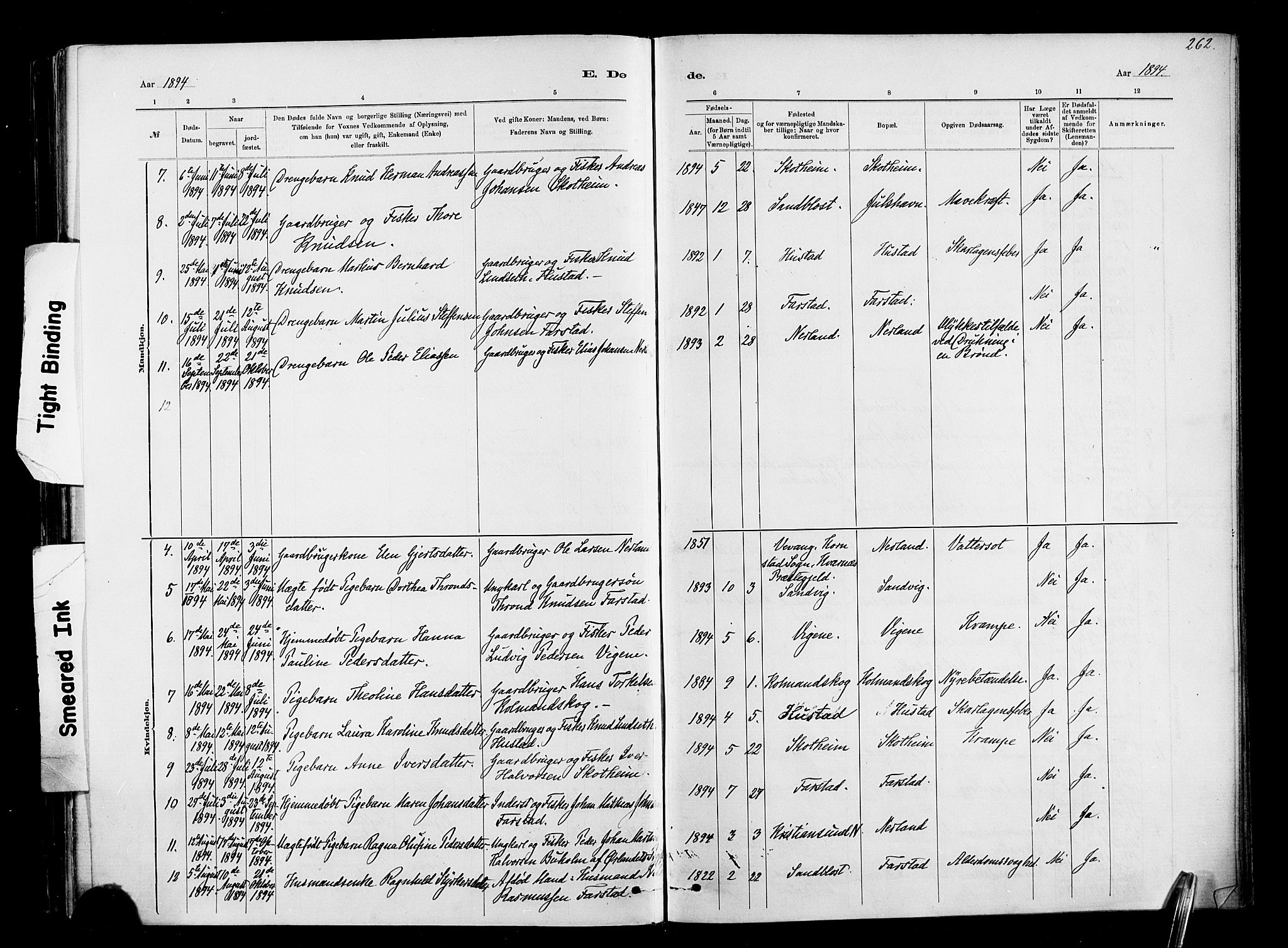 Ministerialprotokoller, klokkerbøker og fødselsregistre - Møre og Romsdal, AV/SAT-A-1454/567/L0778: Parish register (official) no. 567A01, 1881-1903, p. 262