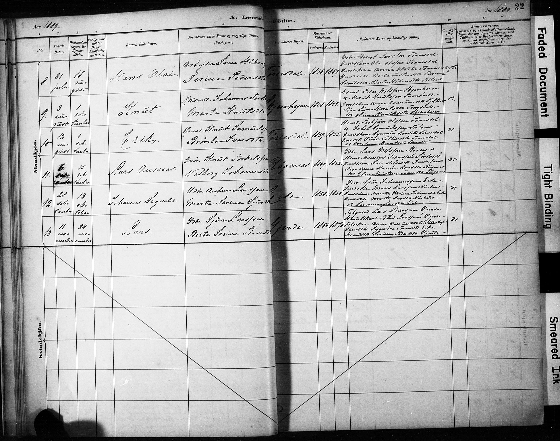 Skjold sokneprestkontor, AV/SAST-A-101847/H/Ha/Haa/L0009: Parish register (official) no. A 9, 1882-1898, p. 22