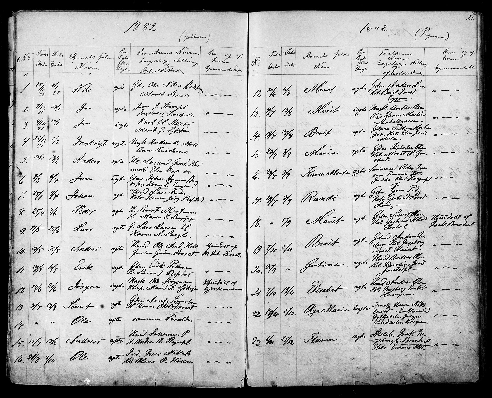 Ministerialprotokoller, klokkerbøker og fødselsregistre - Sør-Trøndelag, AV/SAT-A-1456/612/L0387: Parish register (copy) no. 612C03, 1874-1908, p. 21