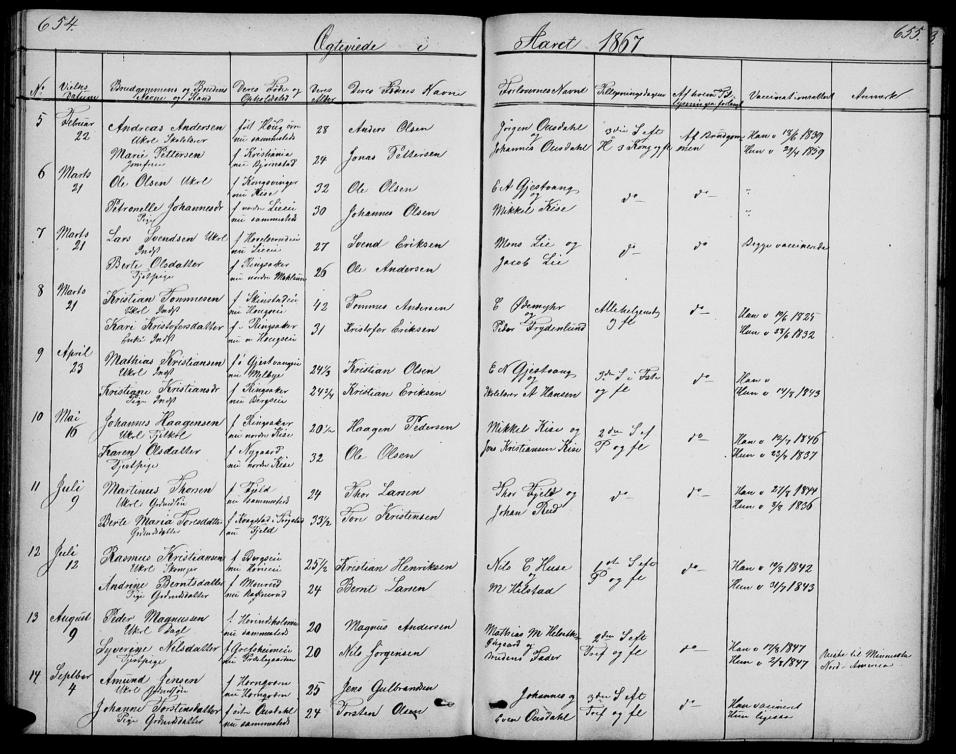 Nes prestekontor, Hedmark, AV/SAH-PREST-020/L/La/L0005: Parish register (copy) no. 5, 1852-1889, p. 654-655