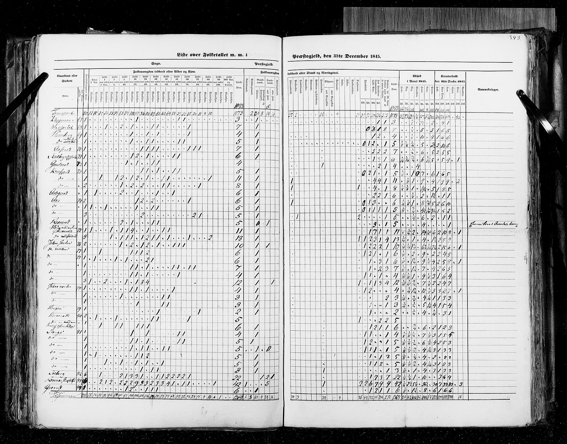 RA, Census 1845, vol. 4: Buskerud amt og Jarlsberg og Larvik amt, 1845, p. 343