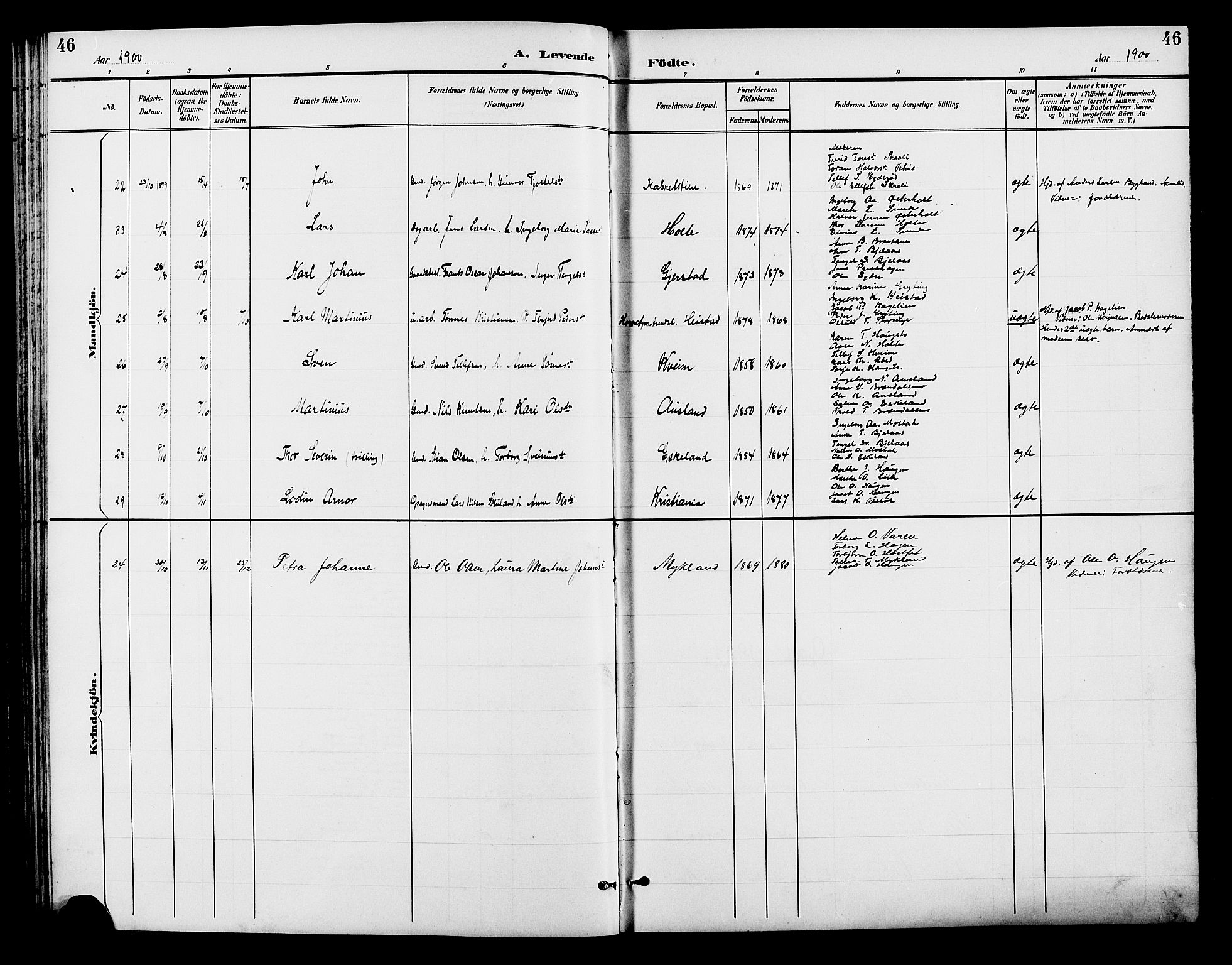 Gjerstad sokneprestkontor, SAK/1111-0014/F/Fb/Fba/L0007: Parish register (copy) no. B 7, 1891-1908, p. 46