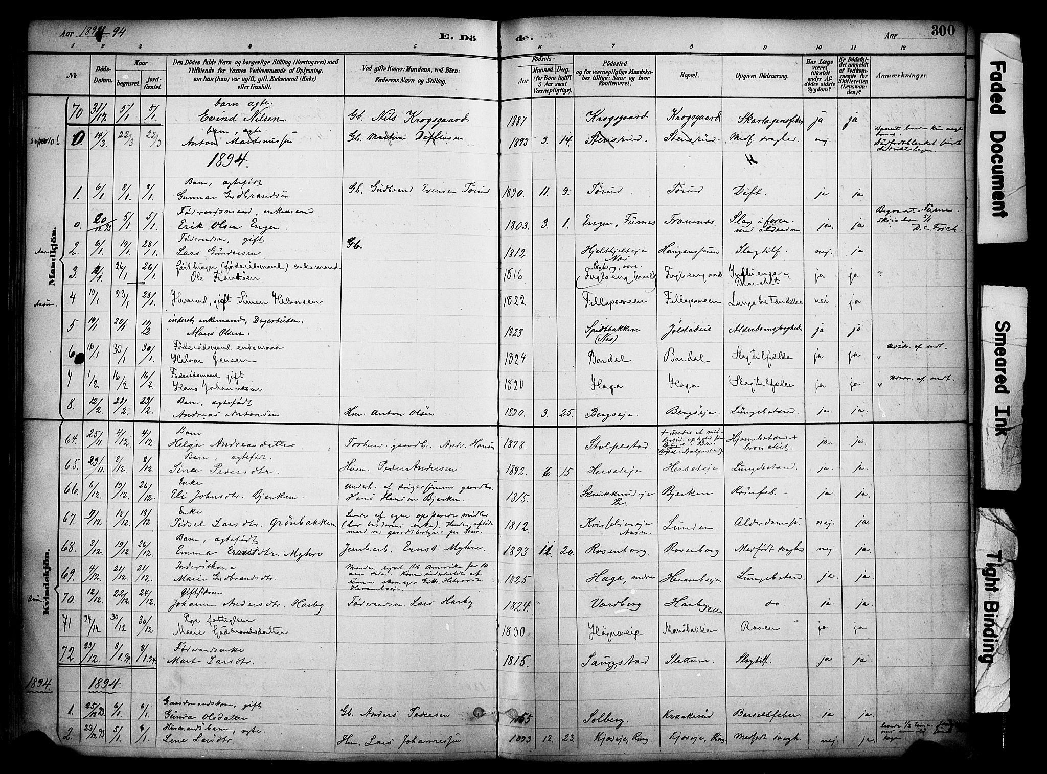 Ringsaker prestekontor, AV/SAH-PREST-014/K/Ka/L0017: Parish register (official) no. 17, 1891-1902, p. 300