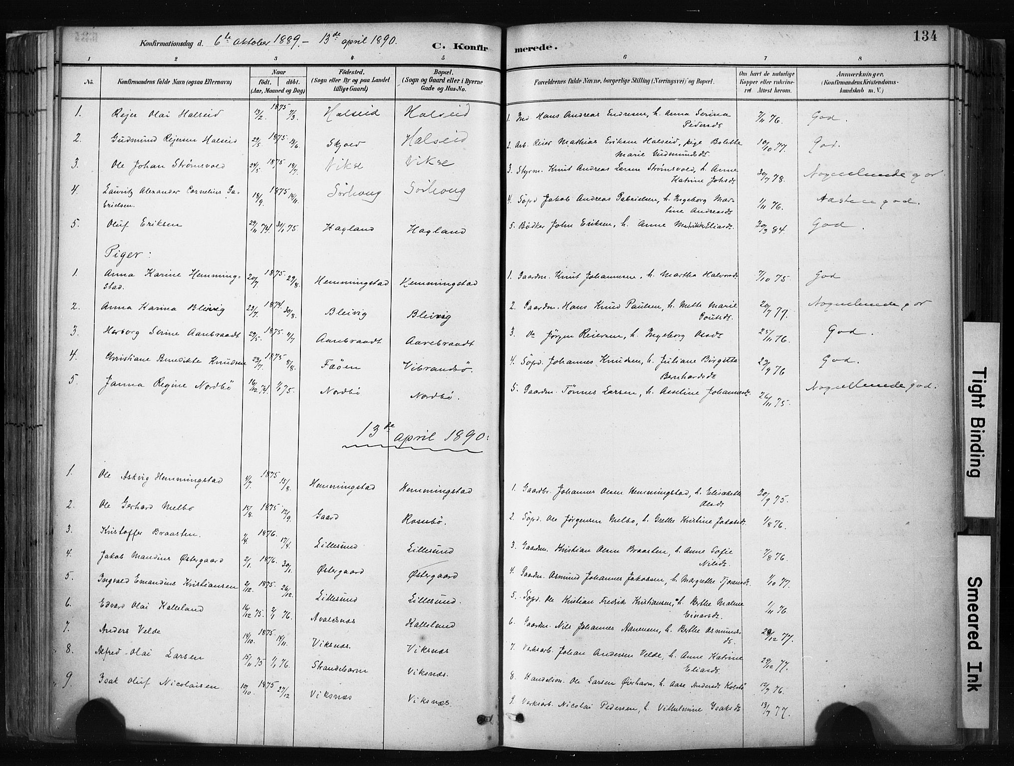Haugesund sokneprestkontor, AV/SAST-A -101863/H/Ha/Haa/L0004: Parish register (official) no. A 4, 1886-1908, p. 134