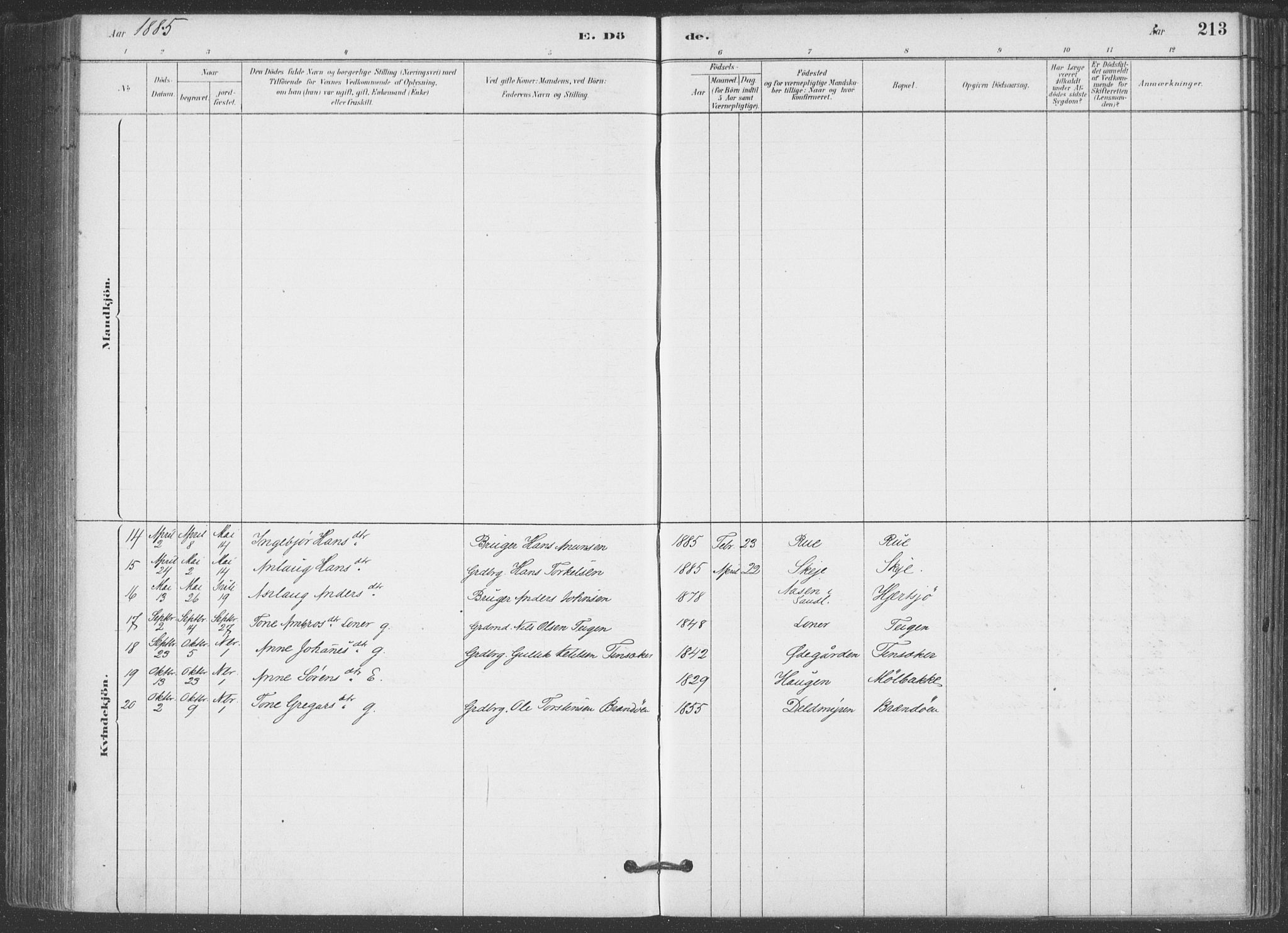 Hjartdal kirkebøker, SAKO/A-270/F/Fa/L0010: Parish register (official) no. I 10, 1880-1929, p. 213