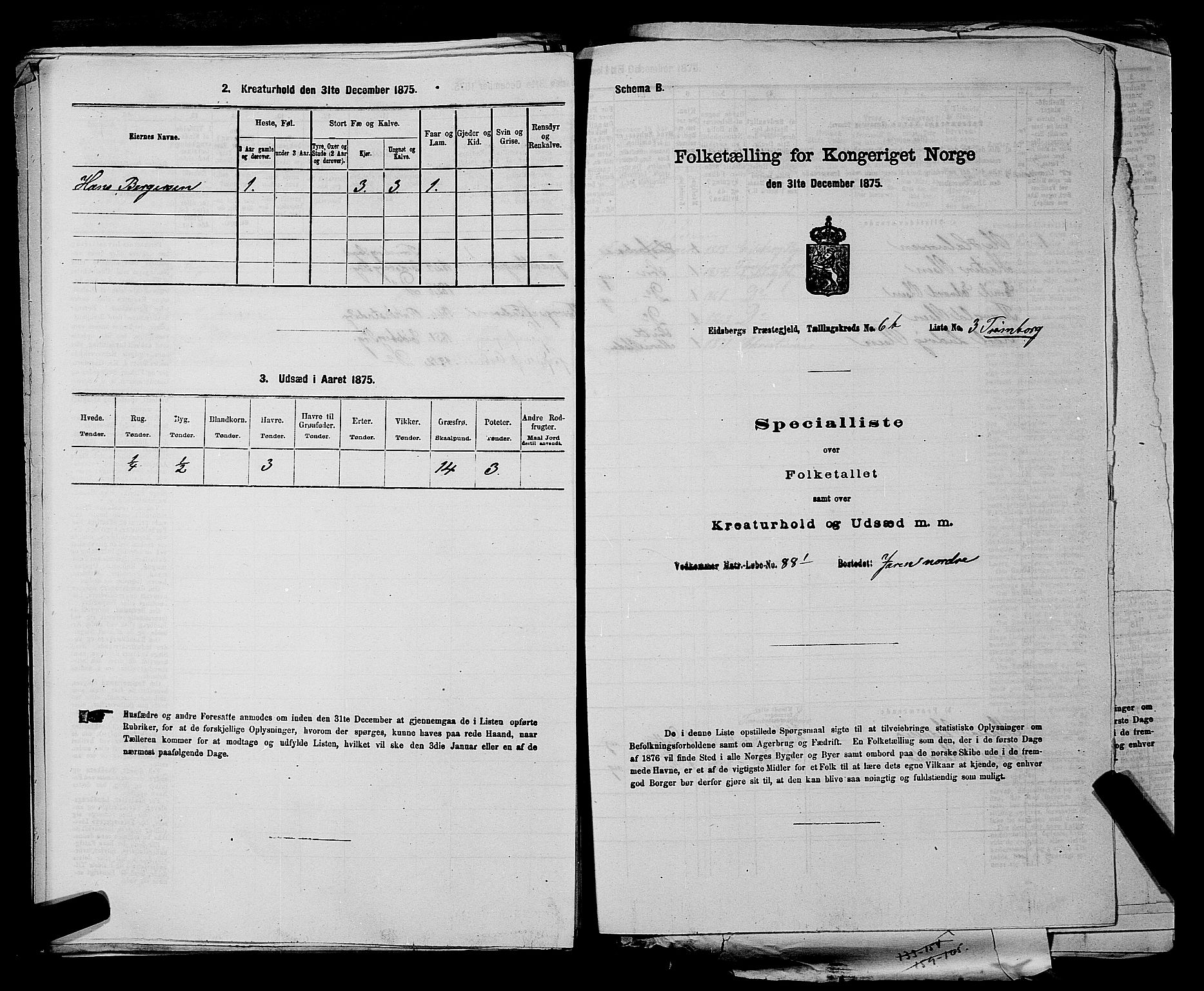 RA, 1875 census for 0125P Eidsberg, 1875, p. 1353