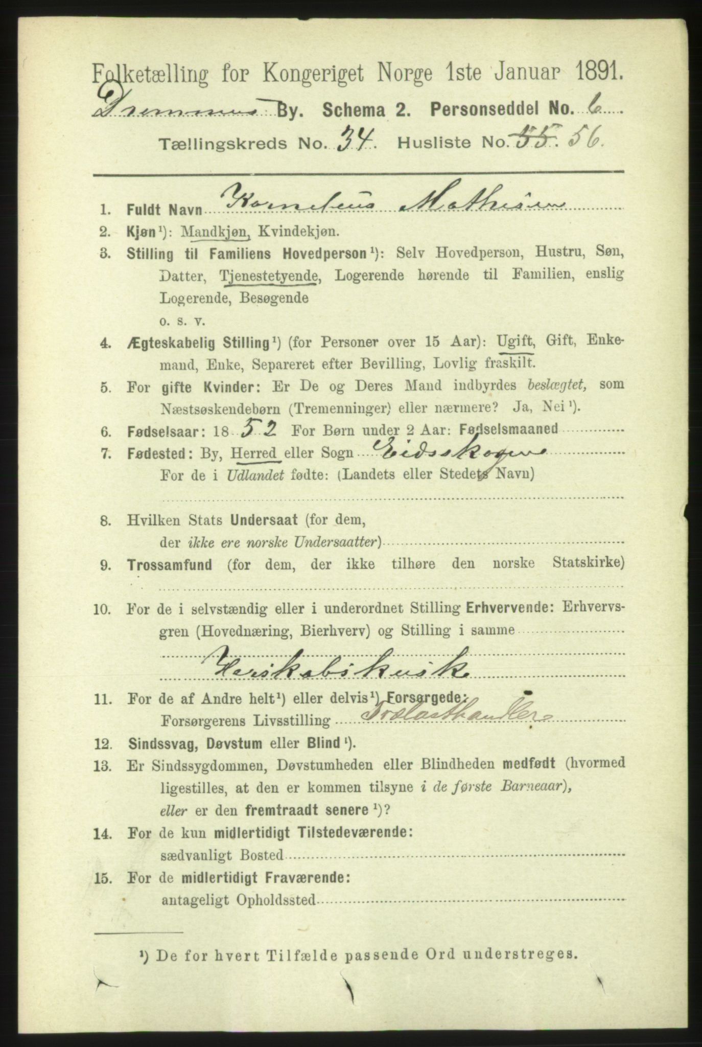 RA, 1891 census for 0602 Drammen, 1891, p. 21067