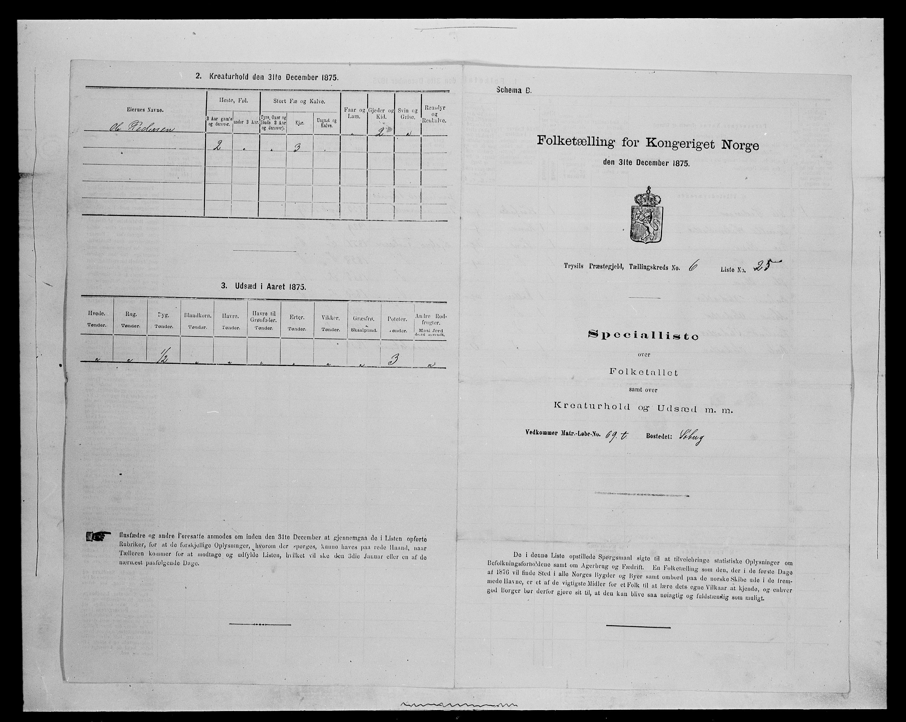 SAH, 1875 census for 0428P Trysil, 1875, p. 769