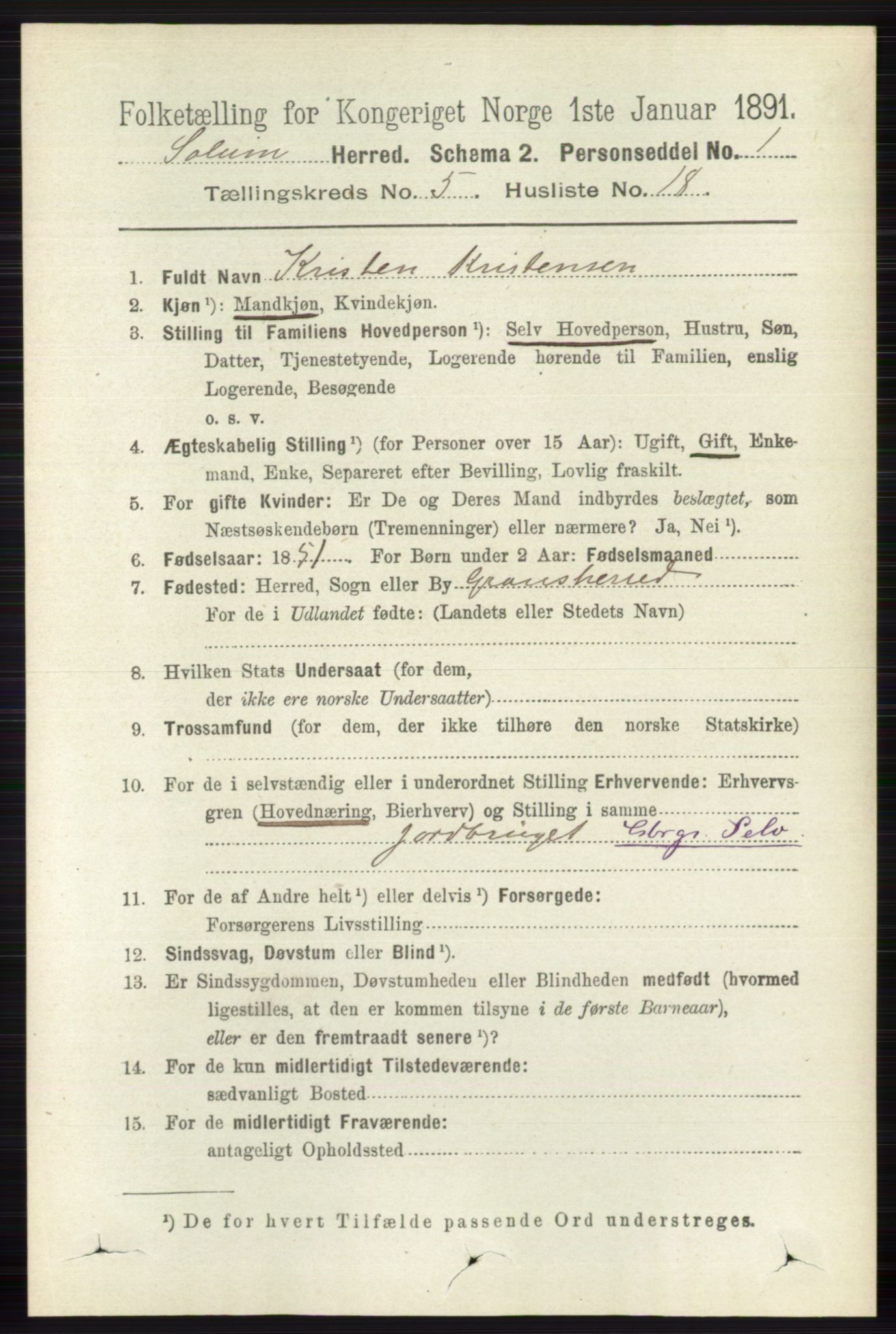 RA, 1891 census for 0818 Solum, 1891, p. 941