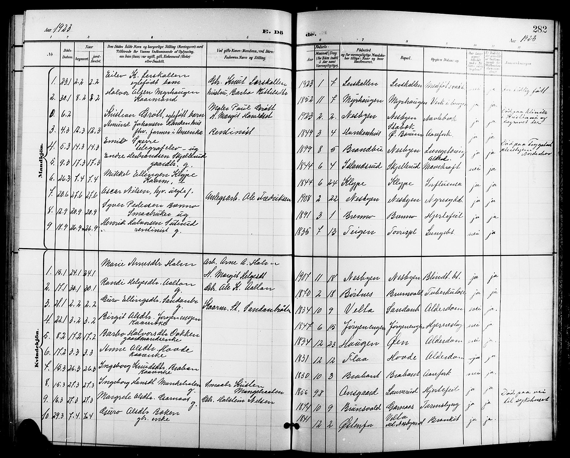 Nes kirkebøker, SAKO/A-236/G/Ga/L0004: Parish register (copy) no. I 4, 1900-1925, p. 282