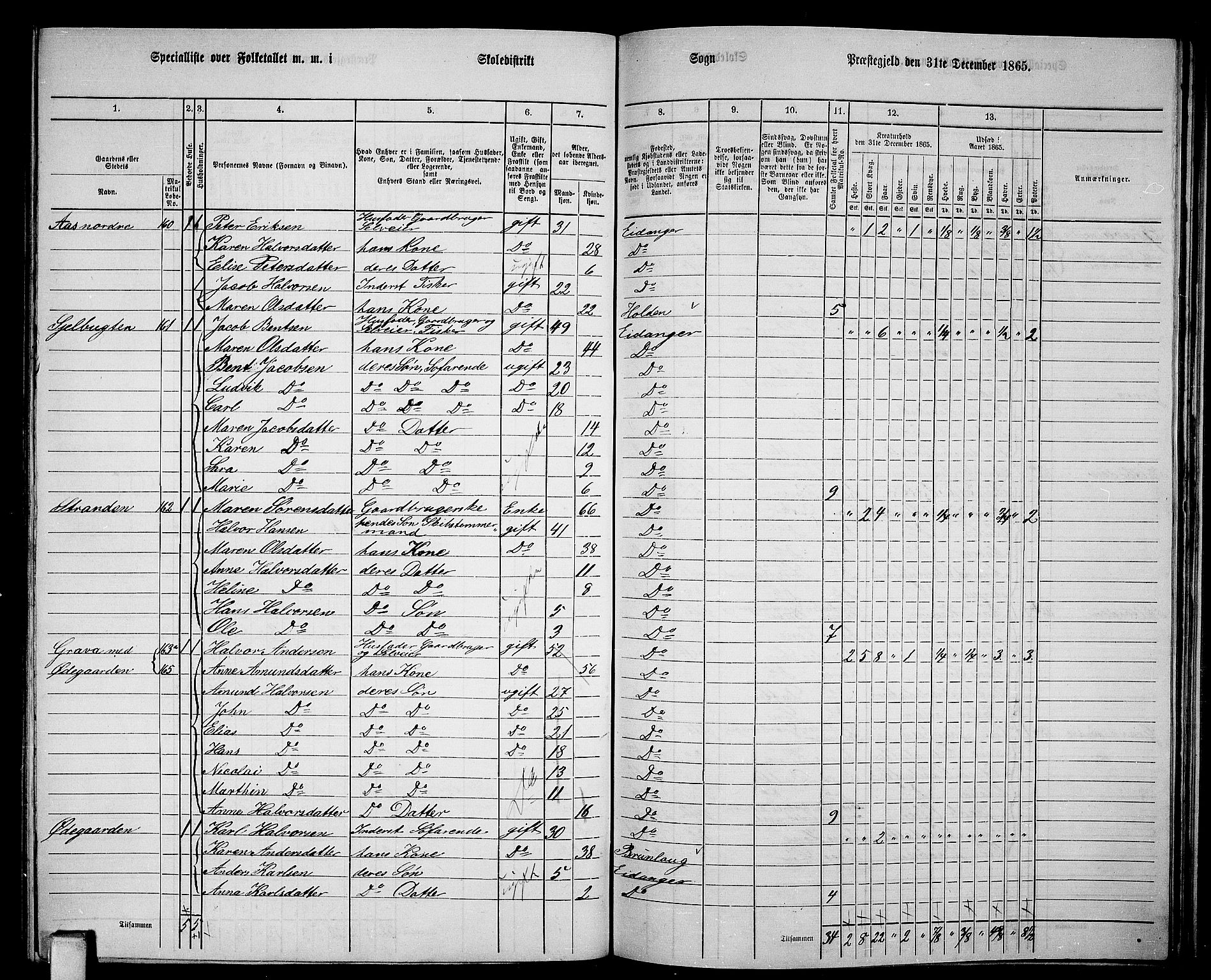 RA, 1865 census for Eidanger, 1865, p. 80