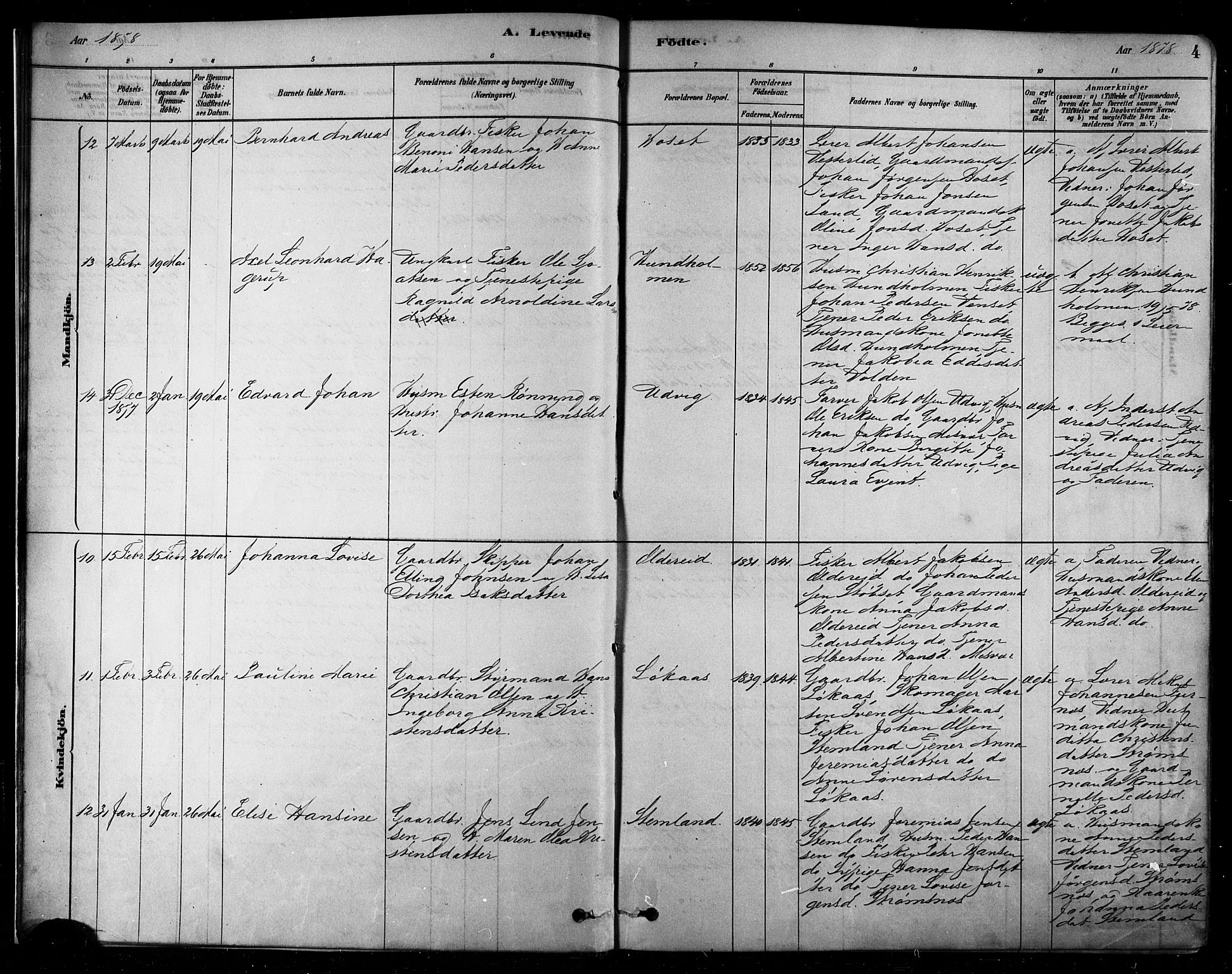 Ministerialprotokoller, klokkerbøker og fødselsregistre - Nordland, AV/SAT-A-1459/852/L0740: Parish register (official) no. 852A10, 1878-1894, p. 4