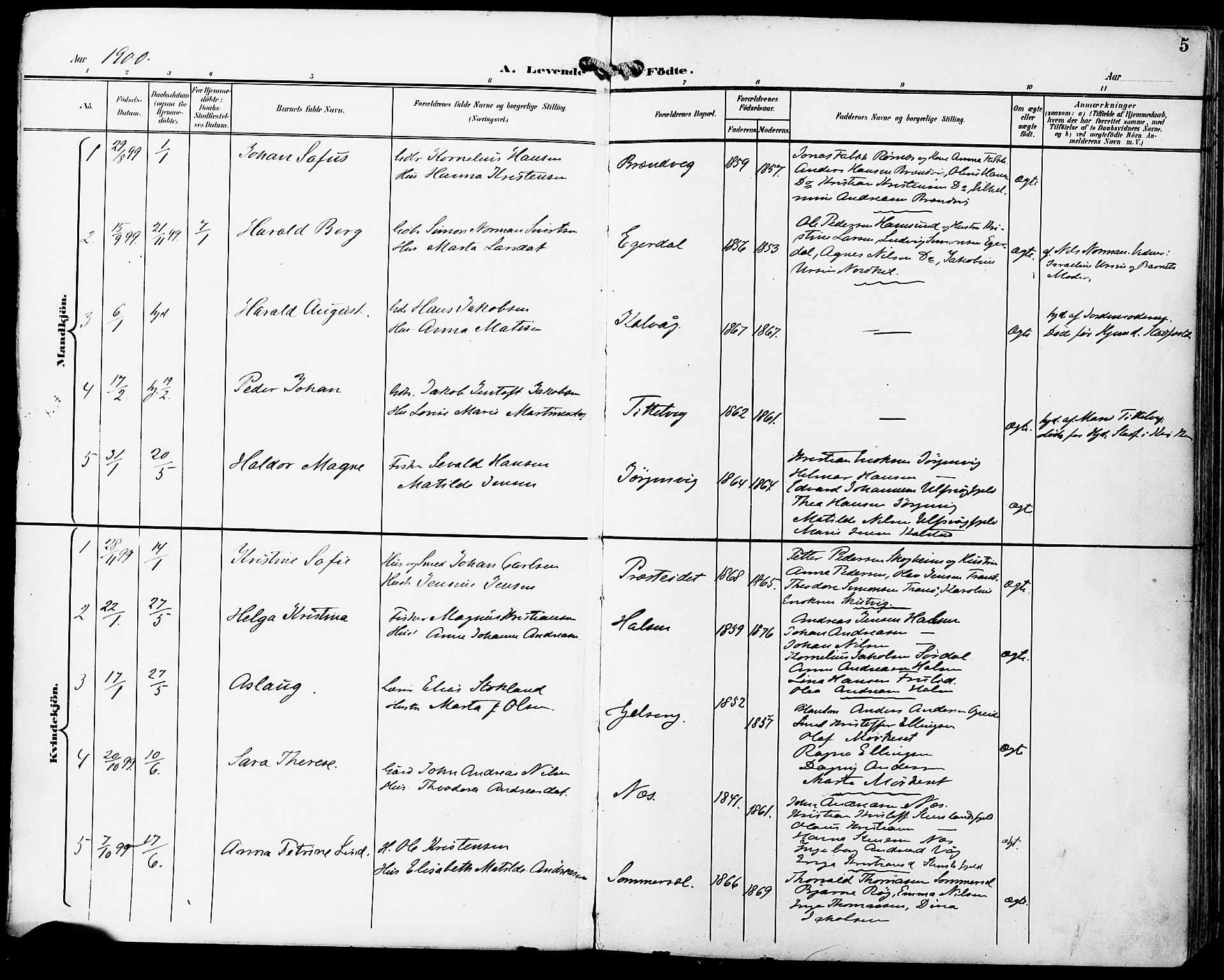 Ministerialprotokoller, klokkerbøker og fødselsregistre - Nordland, AV/SAT-A-1459/859/L0848: Parish register (official) no. 859A08, 1900-1912, p. 5