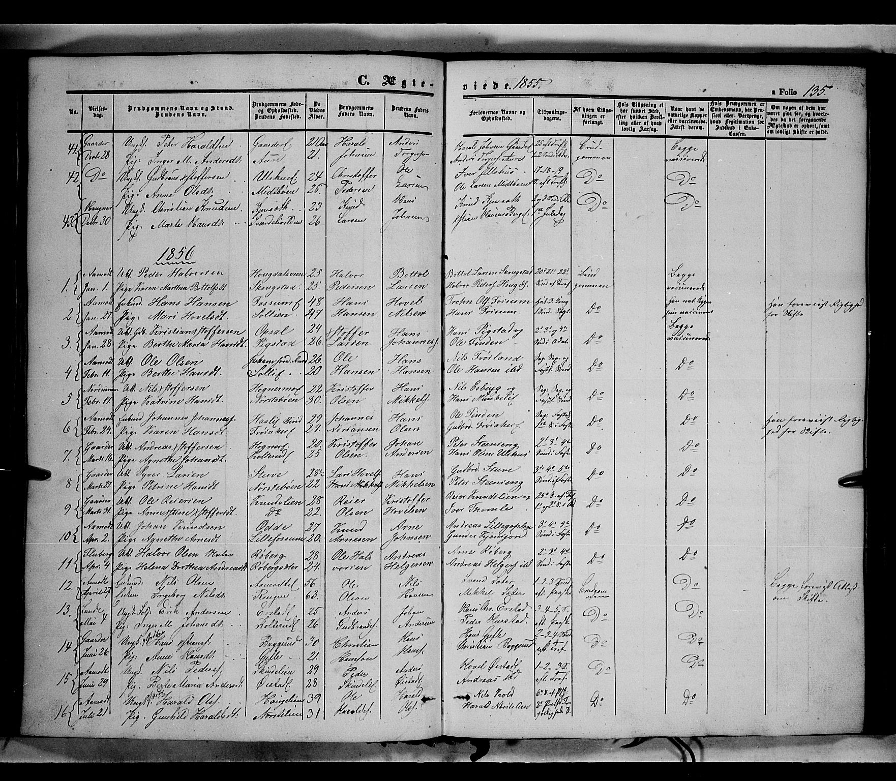 Land prestekontor, SAH/PREST-120/H/Ha/Haa/L0010: Parish register (official) no. 10, 1847-1859, p. 135