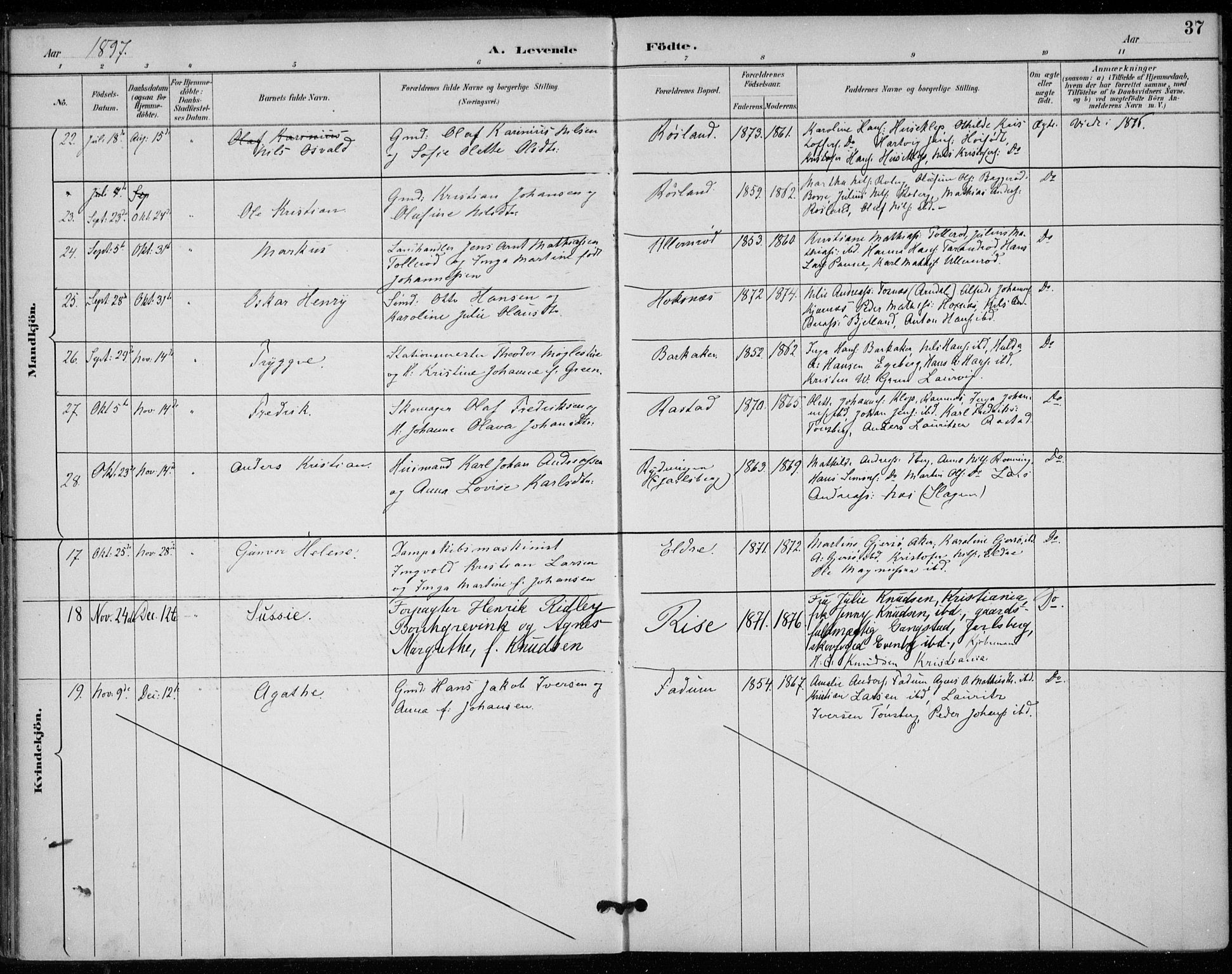 Sem kirkebøker, AV/SAKO-A-5/F/Fa/L0011: Parish register (official) no. I 11, 1888-1904, p. 37