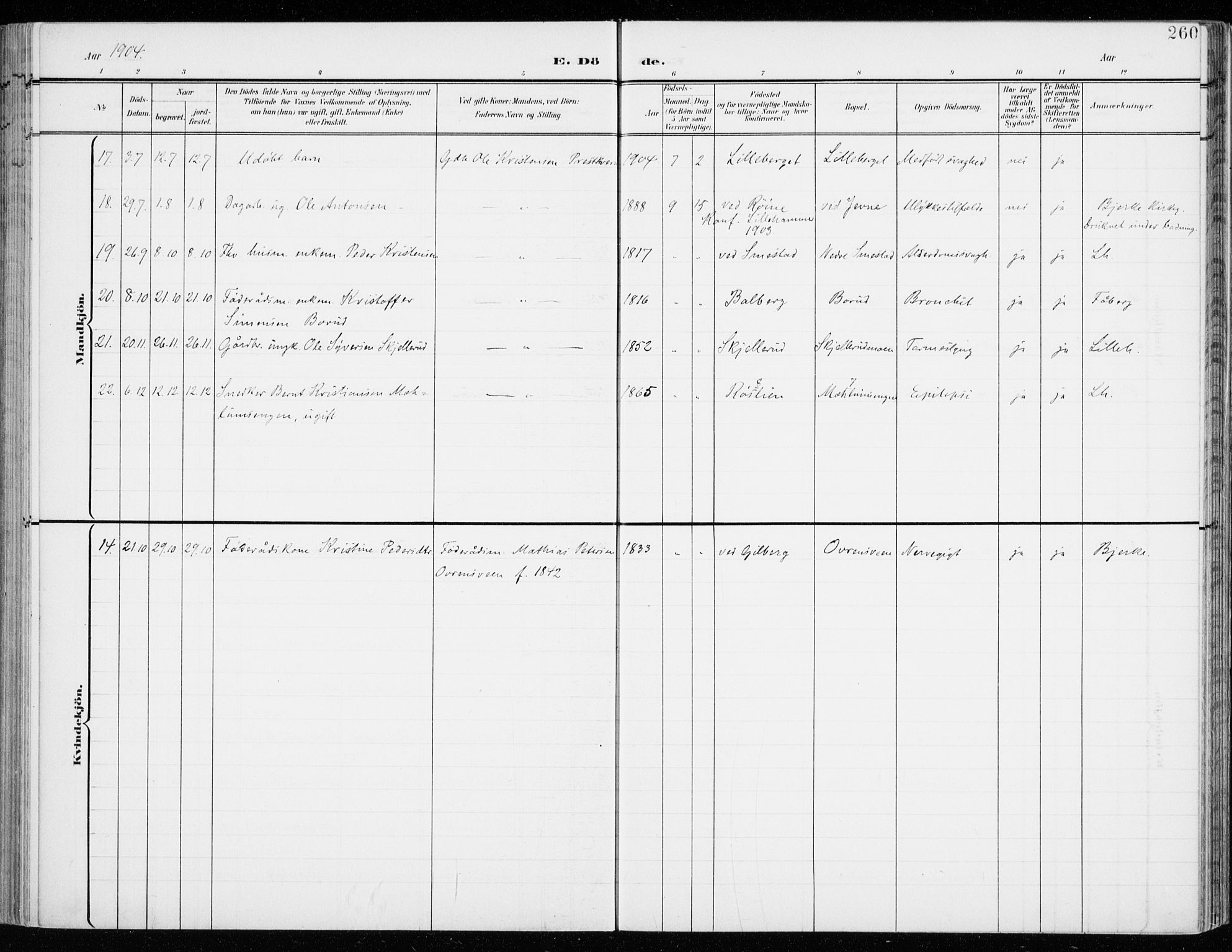 Fåberg prestekontor, SAH/PREST-086/H/Ha/Haa/L0011: Parish register (official) no. 11, 1899-1913, p. 260