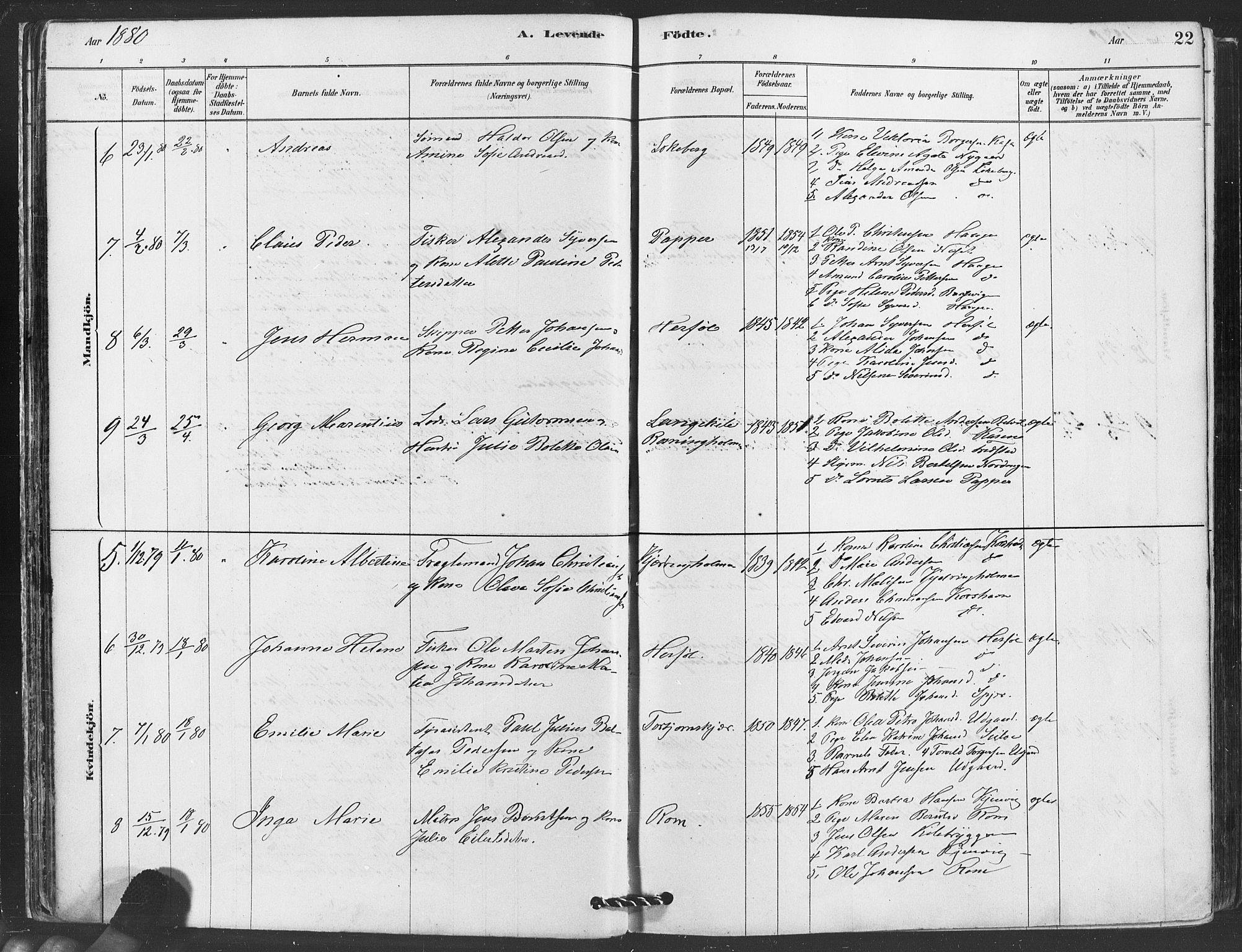 Hvaler prestekontor Kirkebøker, AV/SAO-A-2001/F/Fa/L0008: Parish register (official) no. I 8, 1878-1895, p. 22